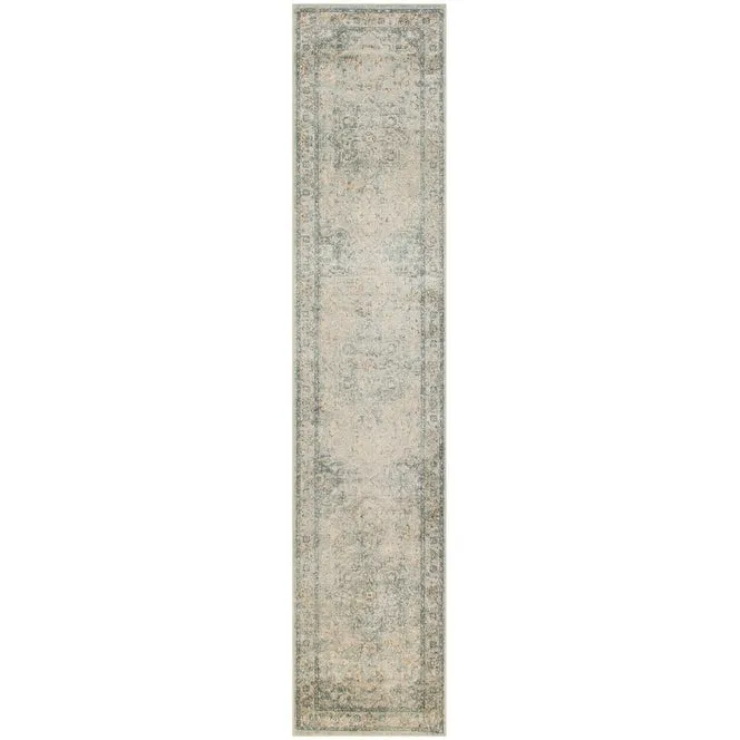 Nourison Astra Machine Washable Distressed Area Rug
