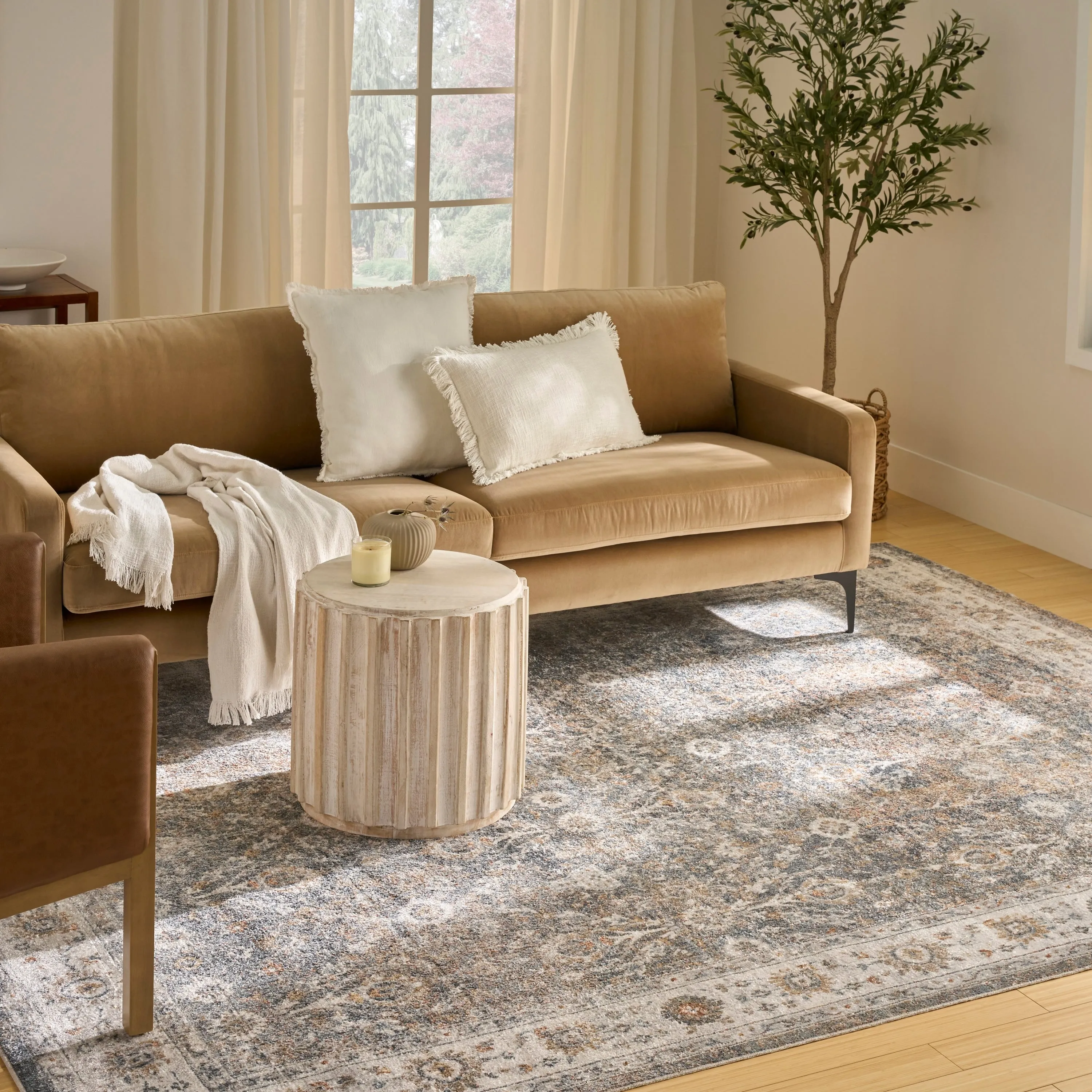 Nourison Astra Machine Washable Indoor only Persian Area Rug