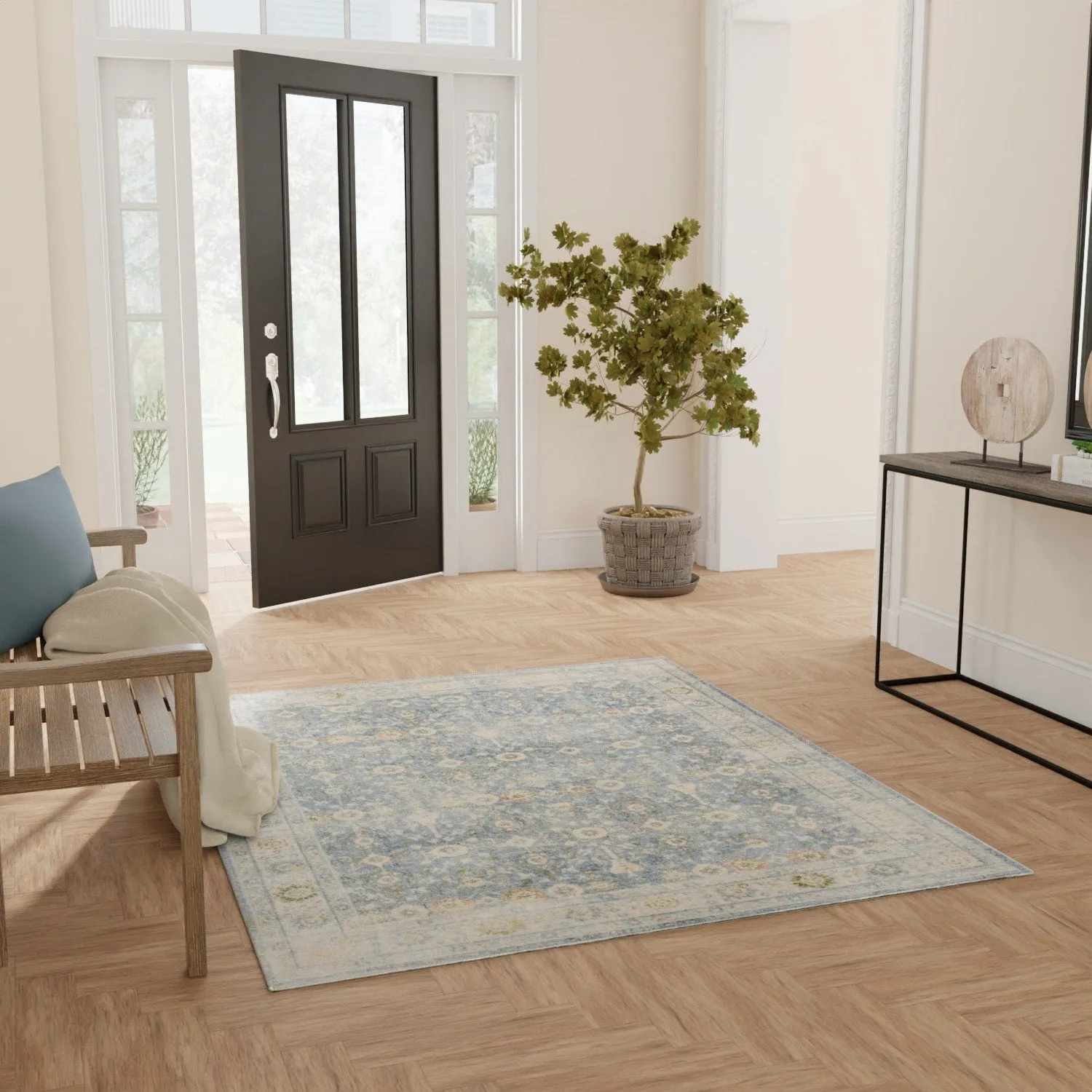 Nourison Astra Machine Washable Indoor only Persian Area Rug