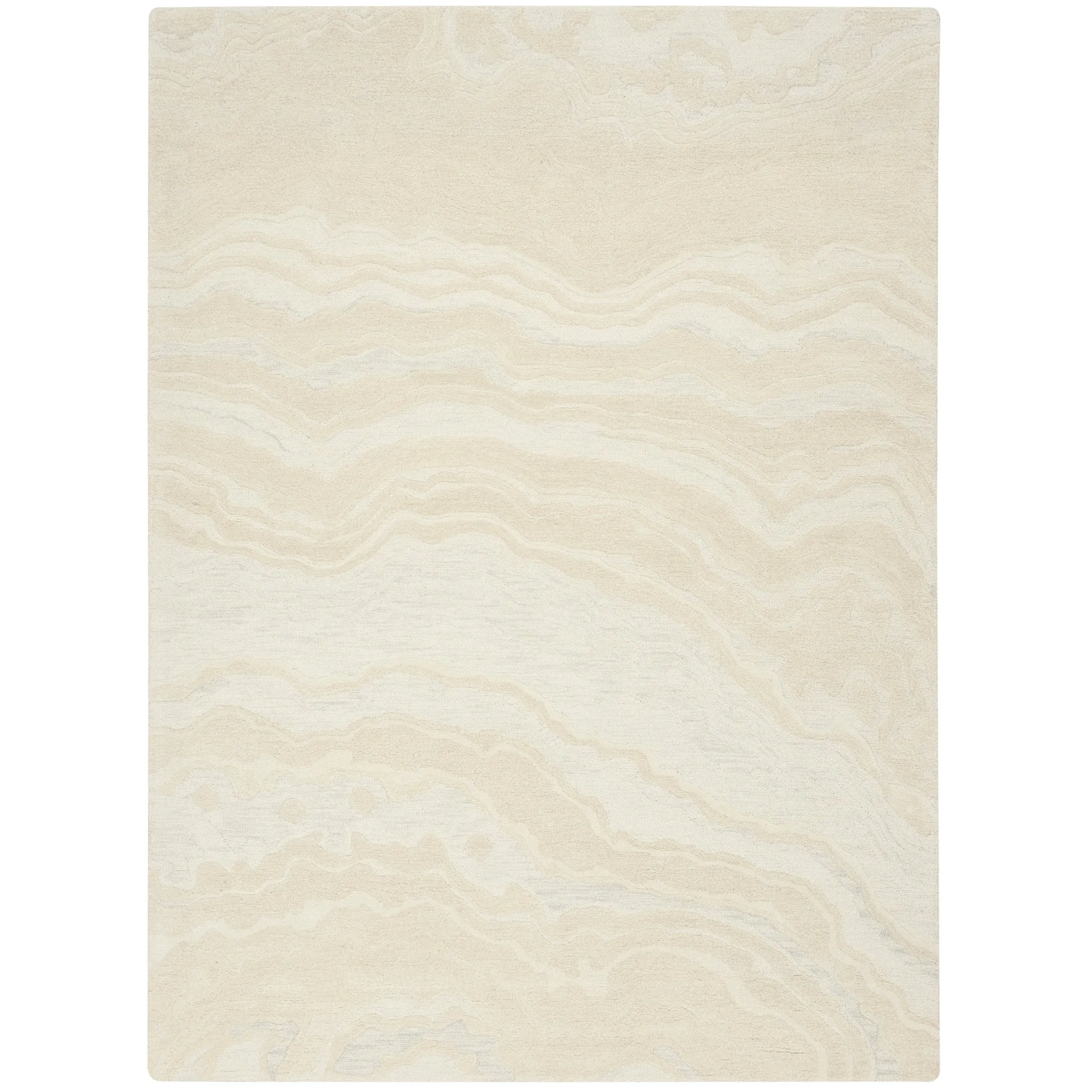Nourison Graceful Indoor Abstract Area Rug