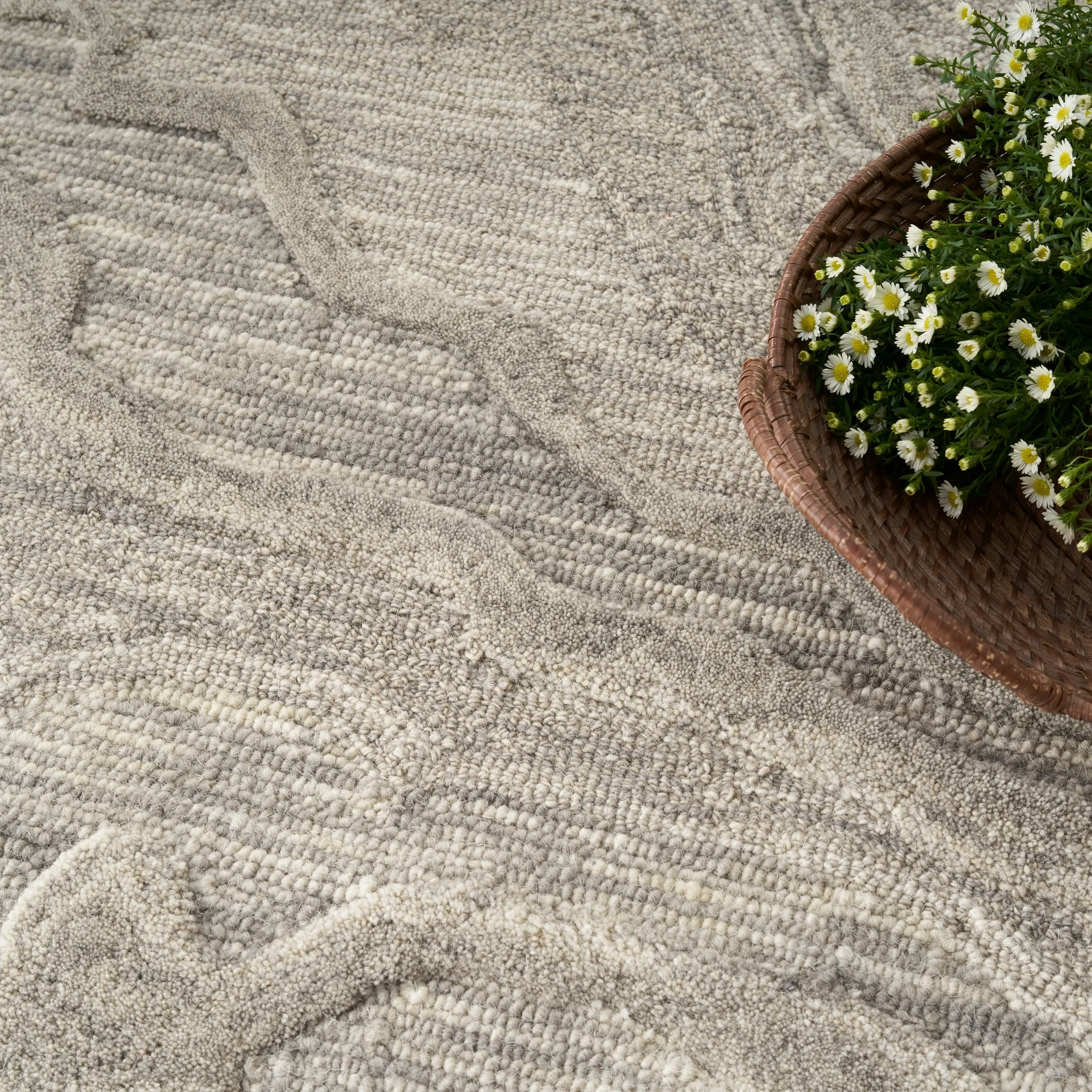 Nourison Graceful Indoor Abstract Area Rug