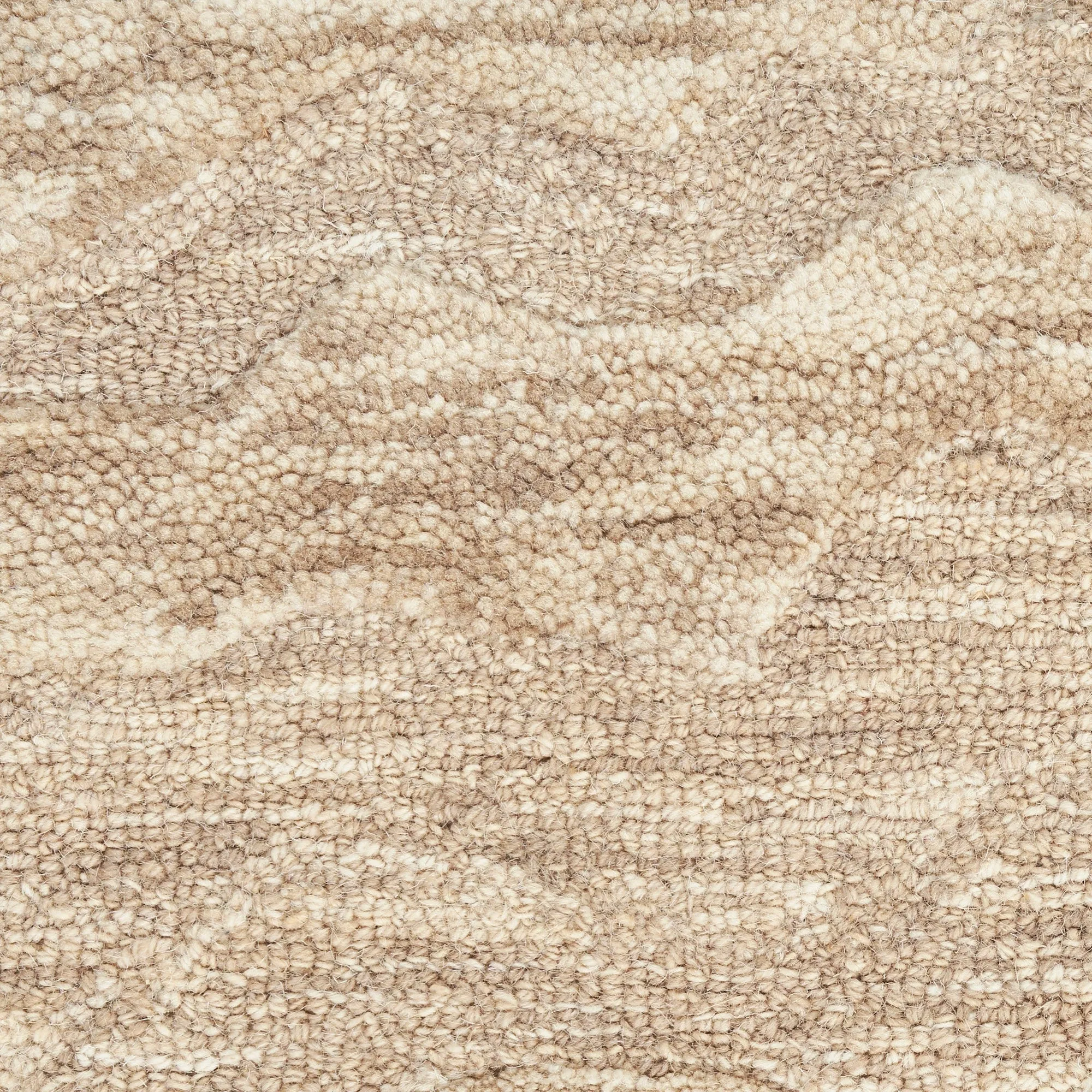 Nourison Graceful Indoor Abstract Area Rug