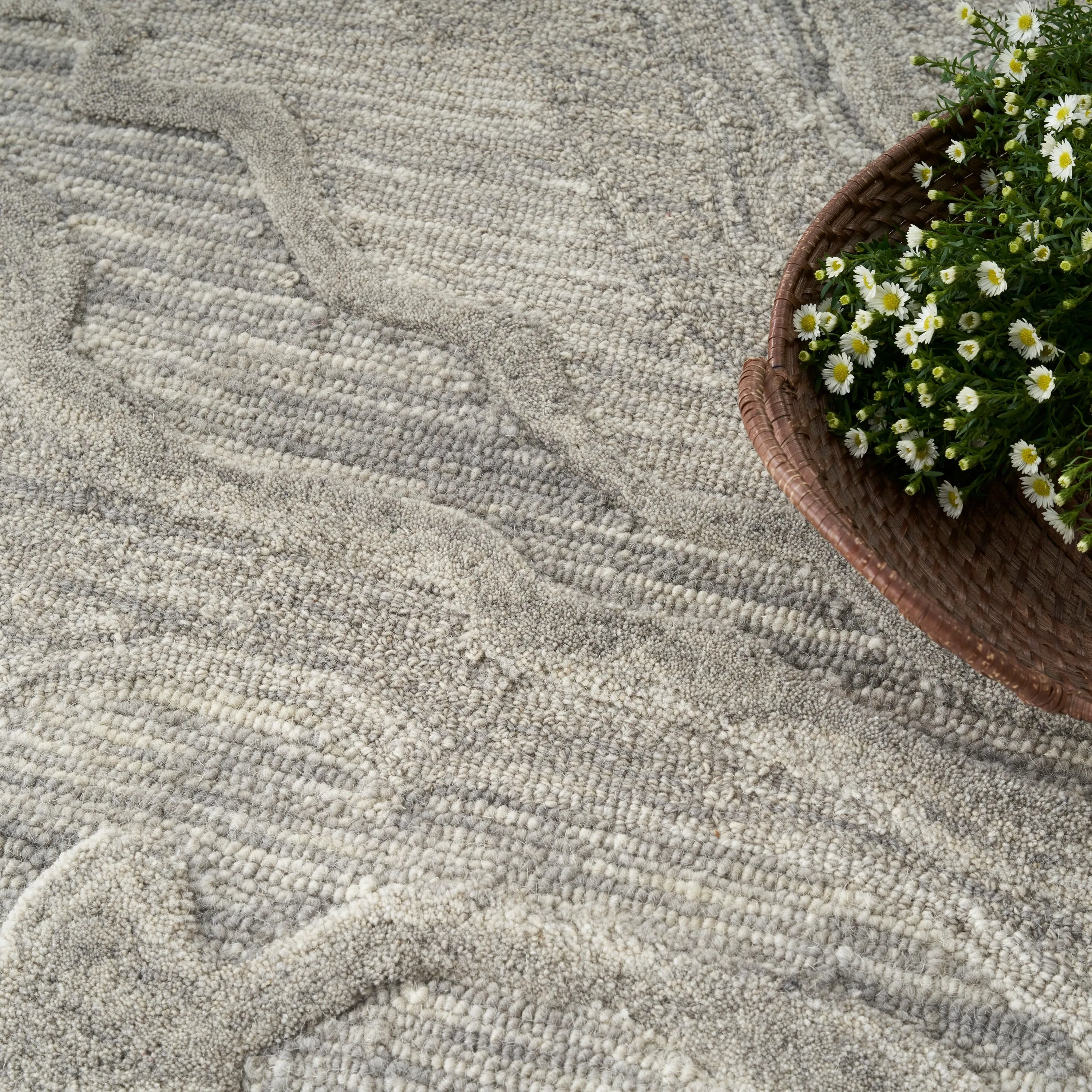 Nourison Graceful Indoor Abstract Area Rug