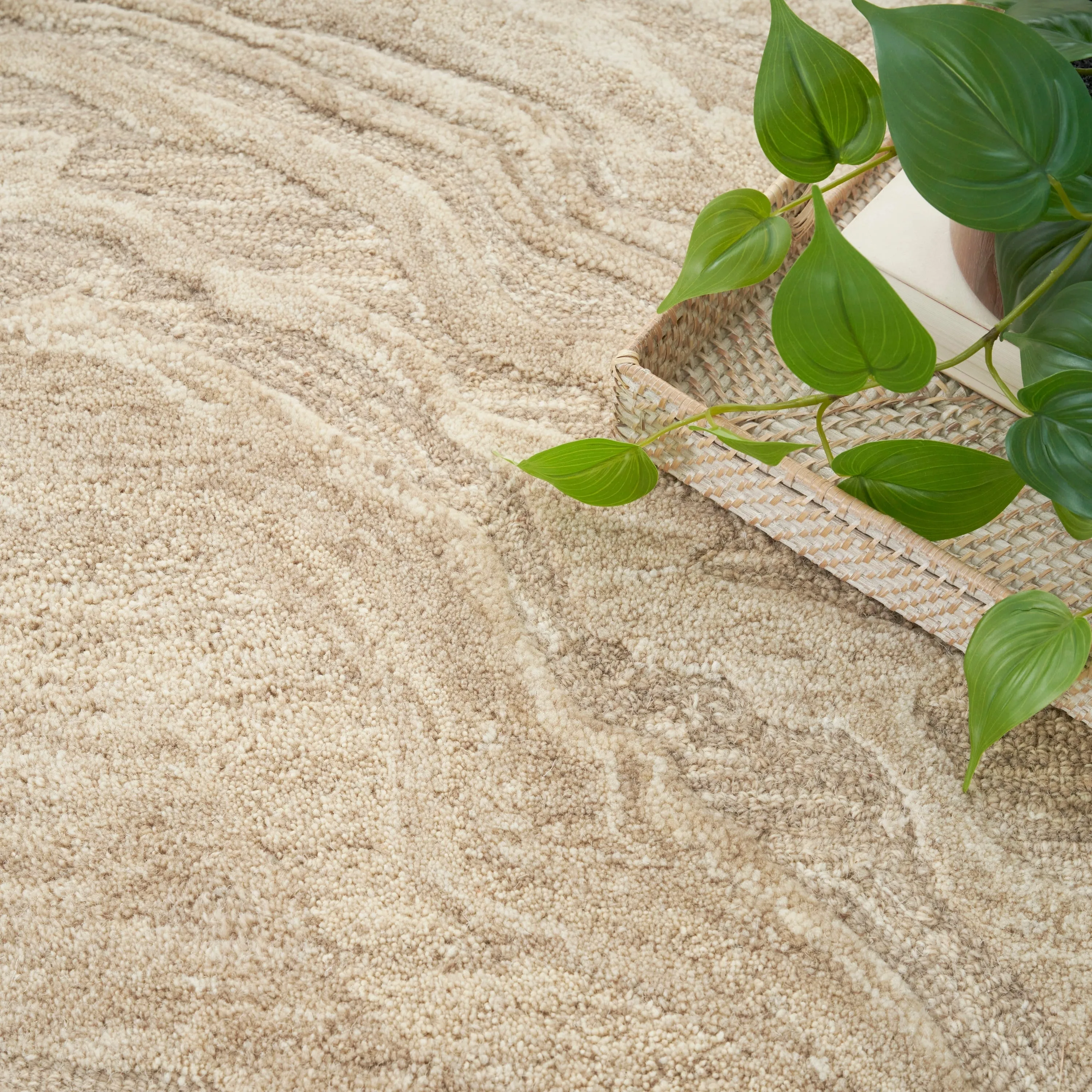 Nourison Graceful Indoor Abstract Area Rug