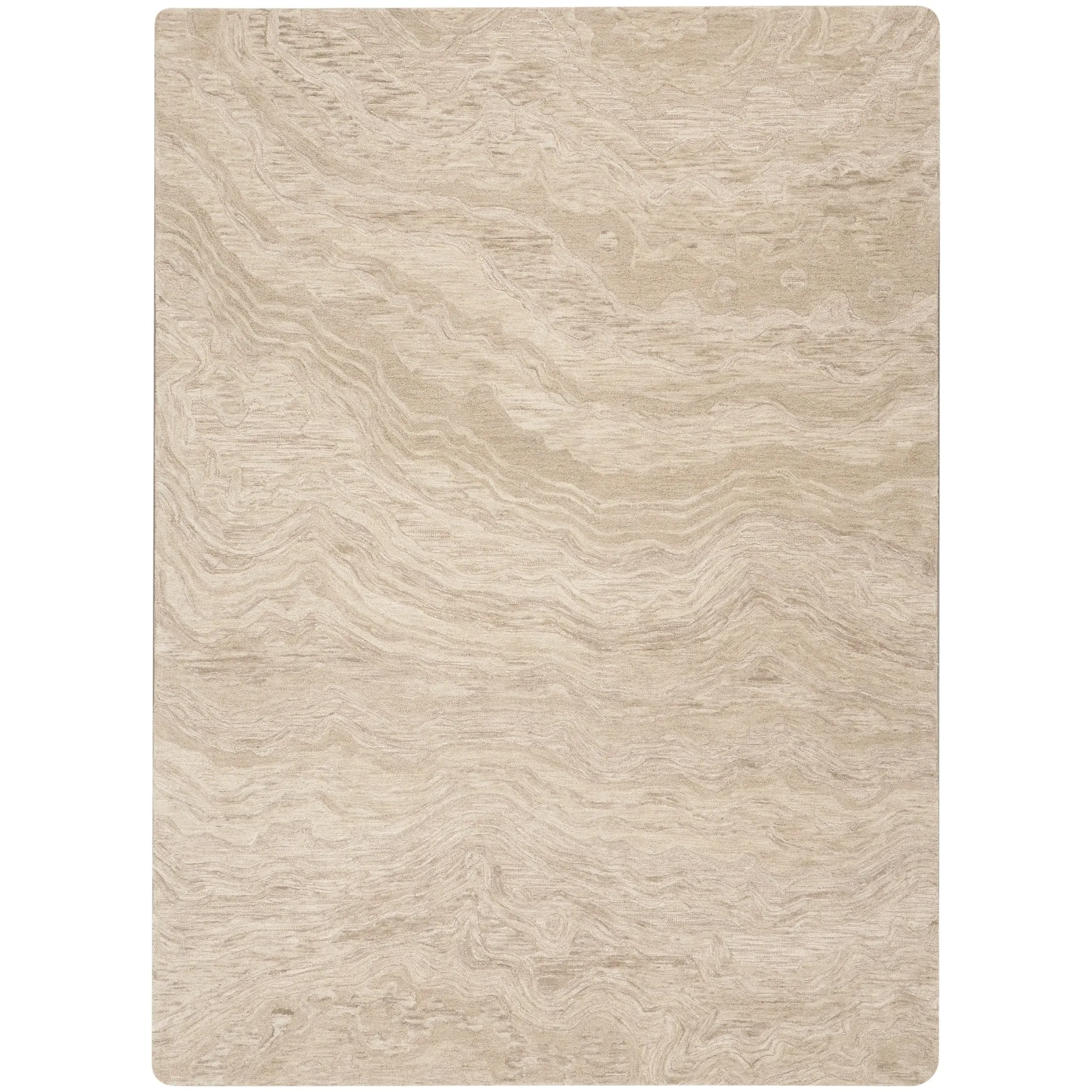 Nourison Graceful Indoor Abstract Area Rug