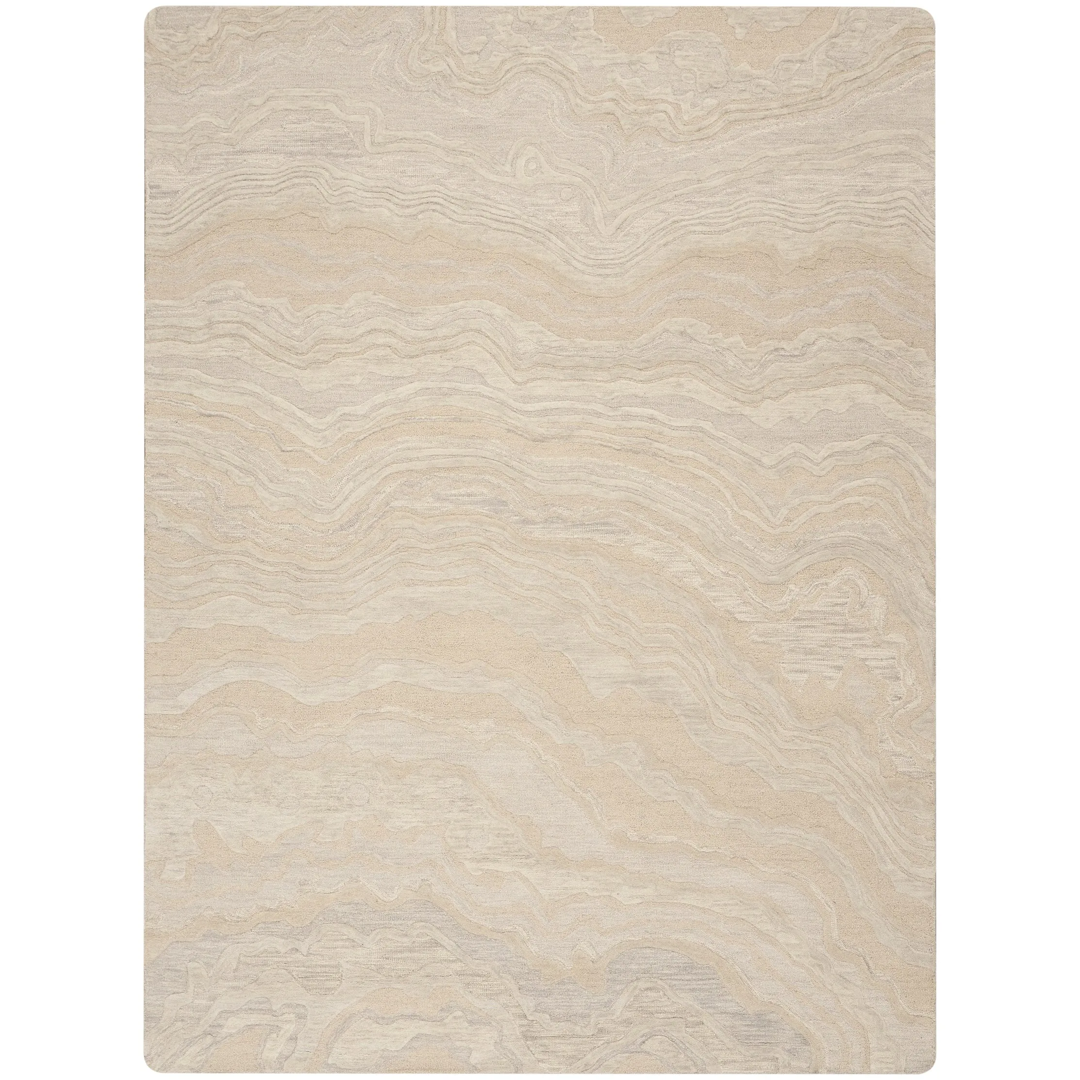 Nourison Graceful Indoor Abstract Area Rug