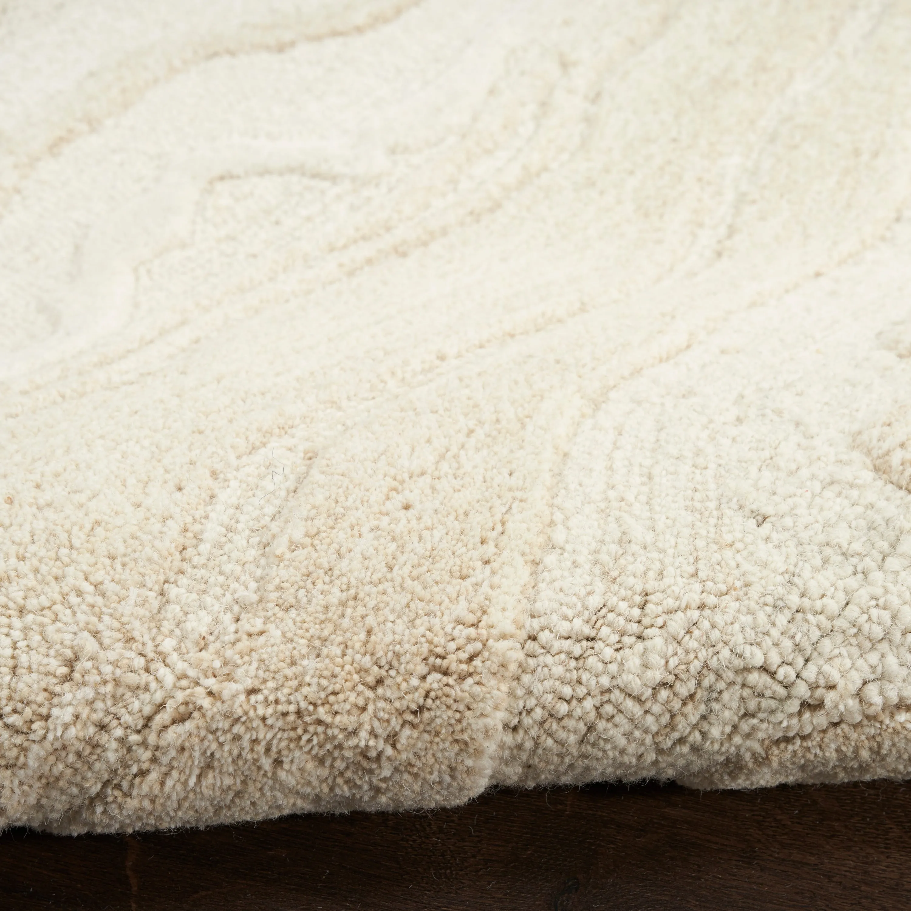 Nourison Graceful Indoor Abstract Area Rug
