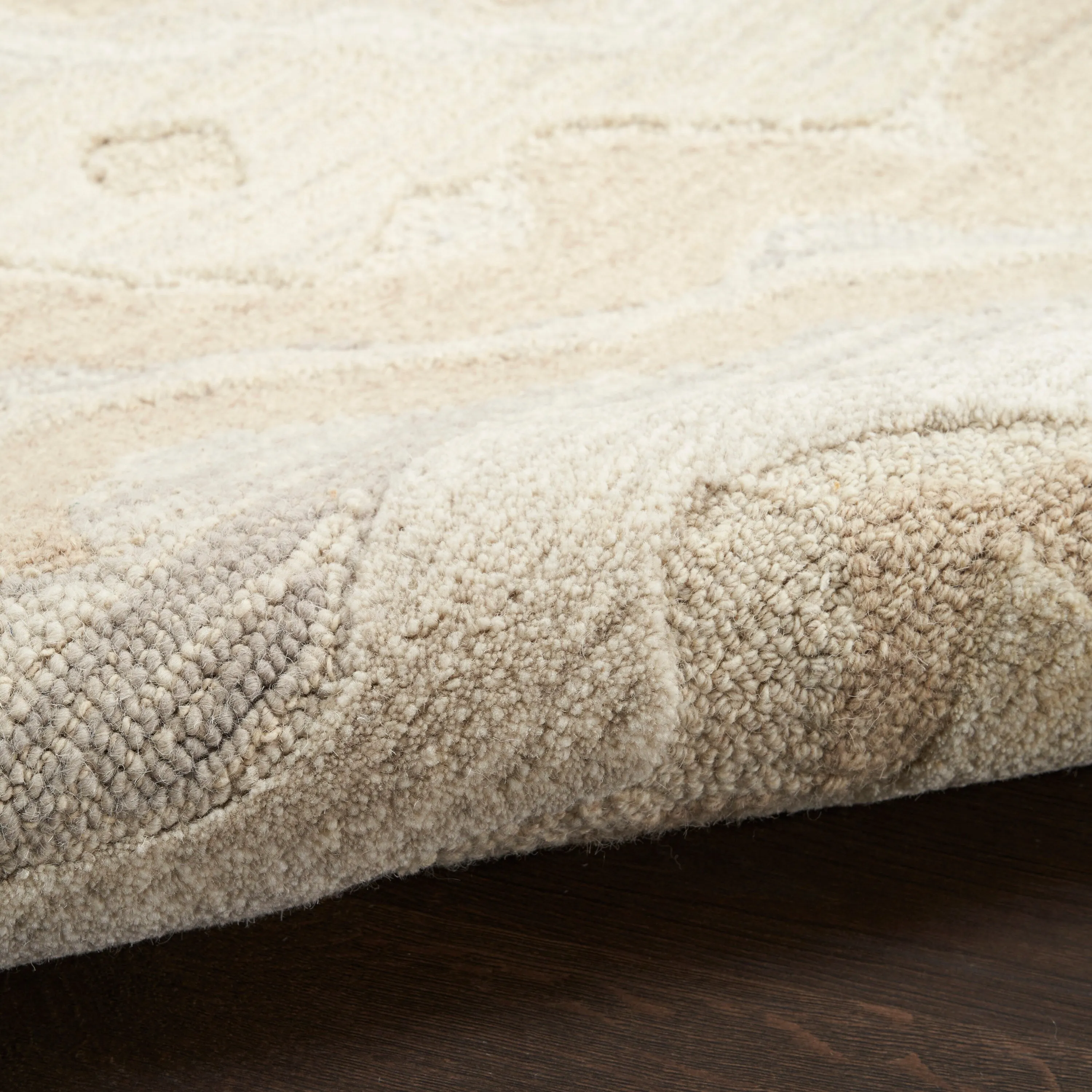 Nourison Graceful Indoor Abstract Area Rug