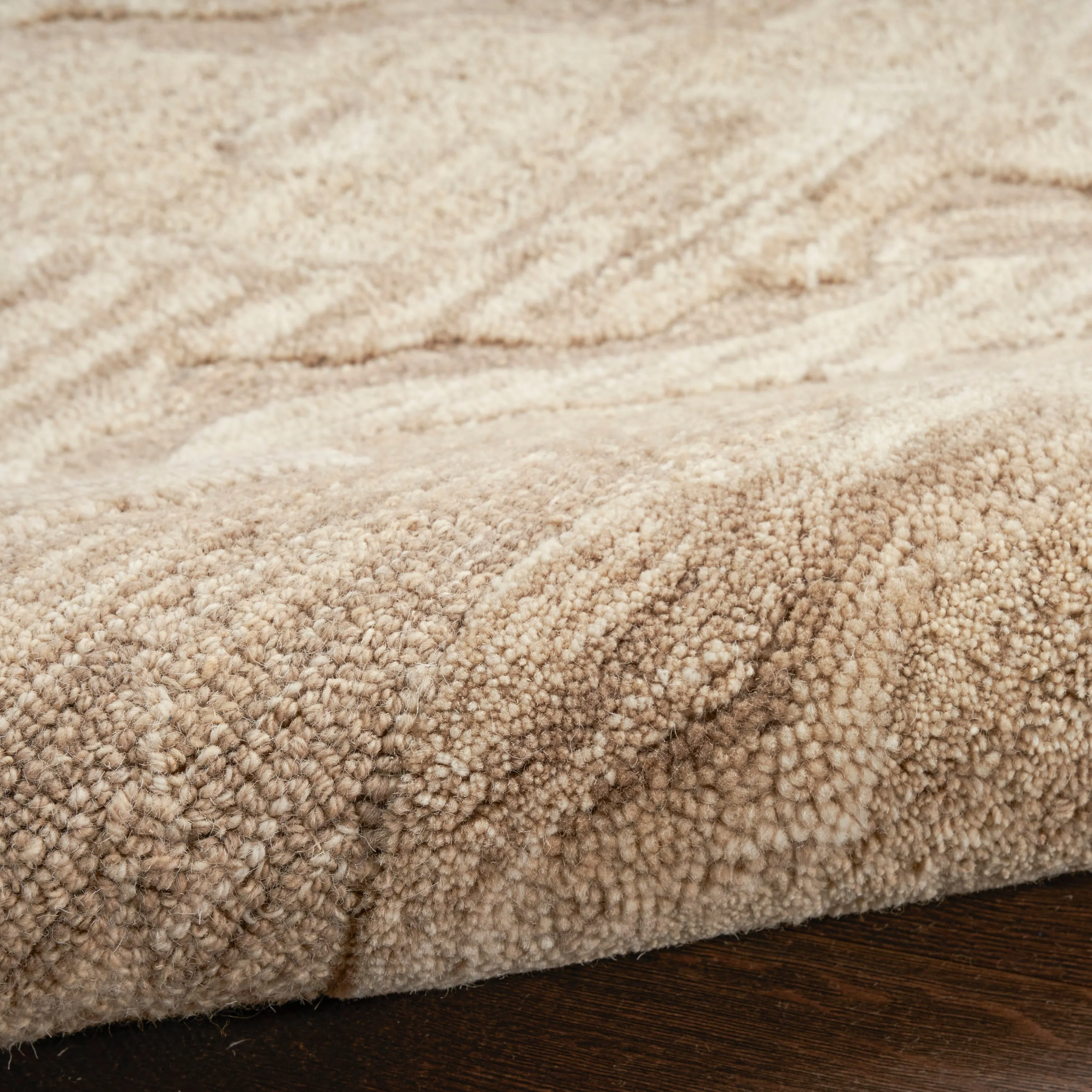 Nourison Graceful Indoor Abstract Area Rug