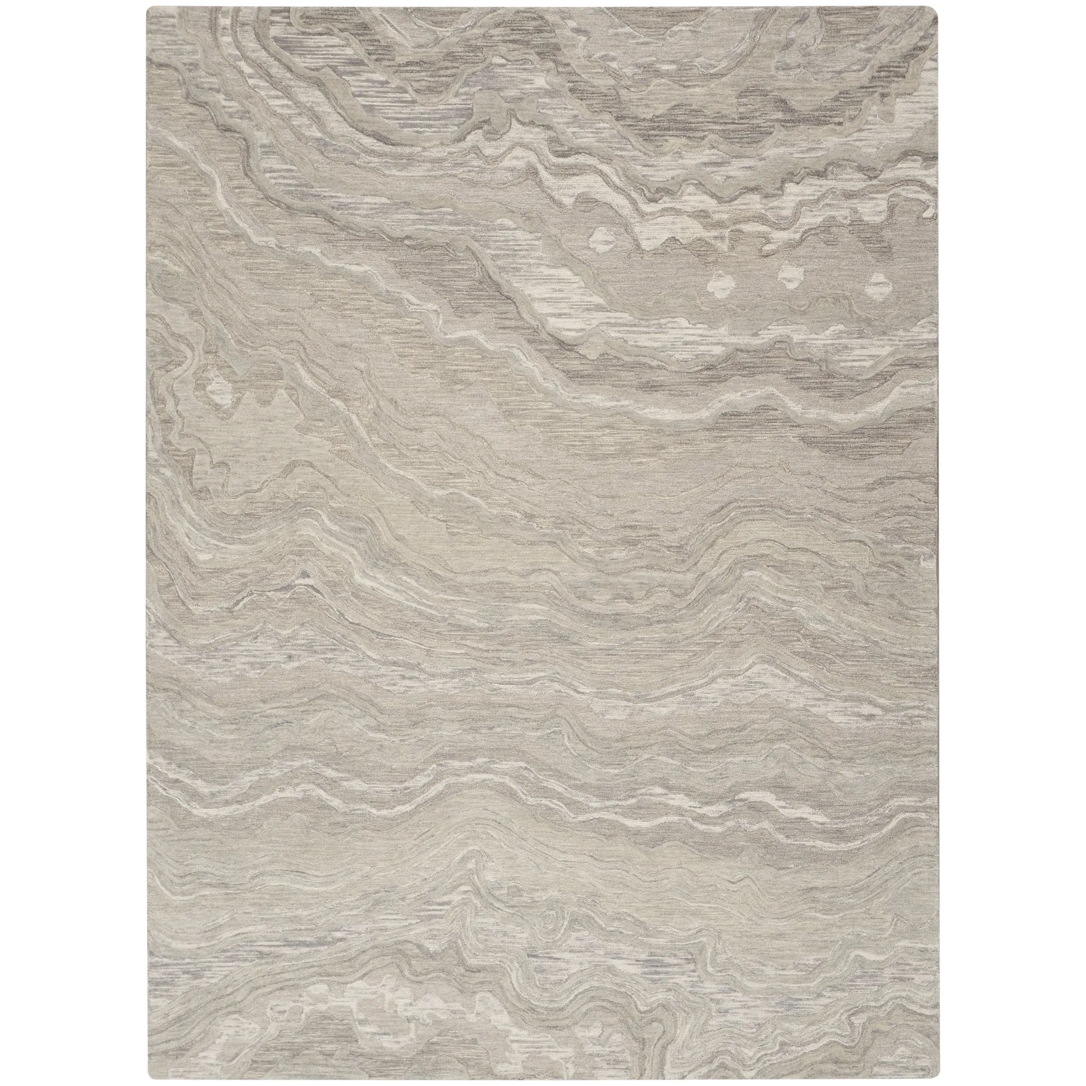 Nourison Graceful Indoor Abstract Area Rug