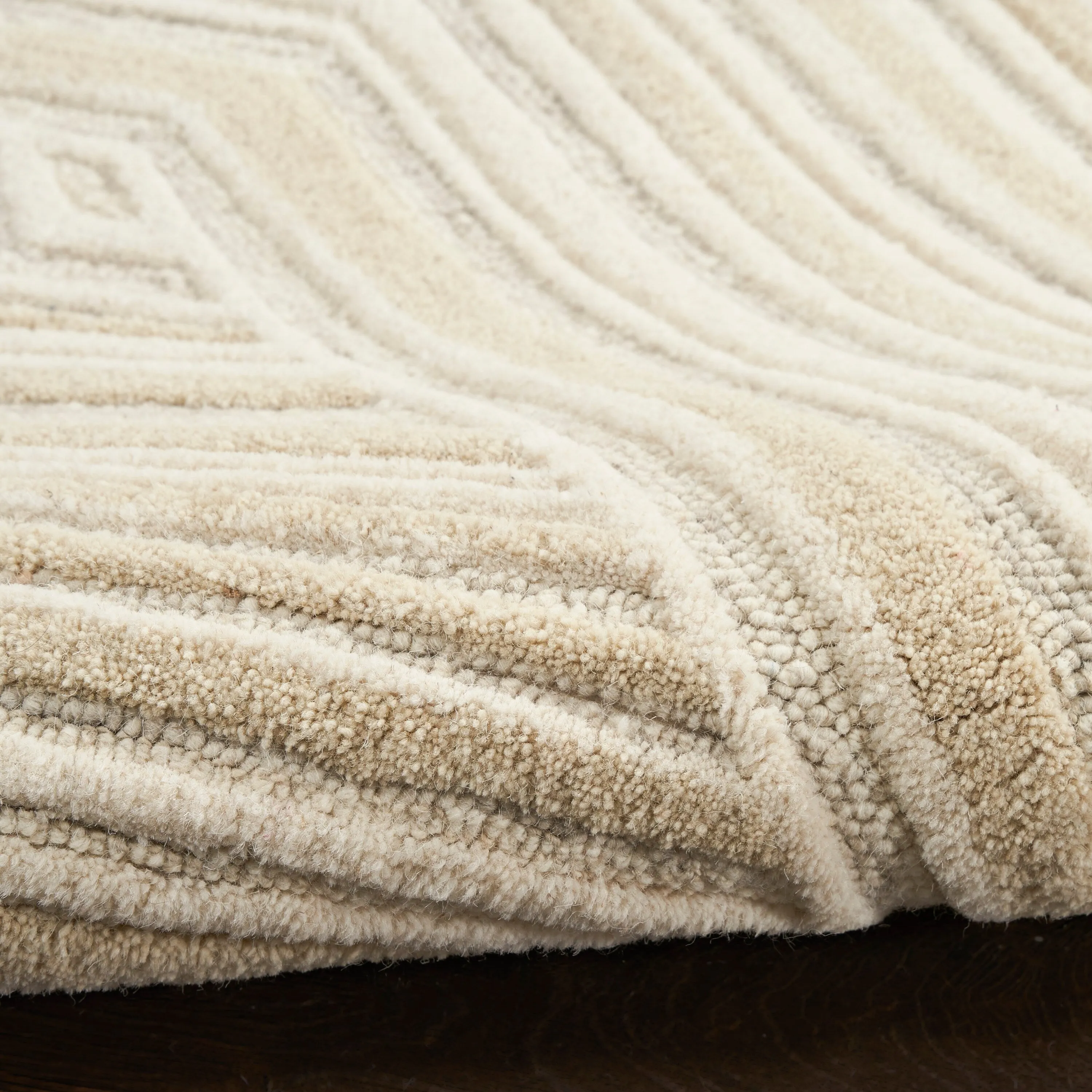 Nourison Graceful Indoor only Geometric Wool Area Rug