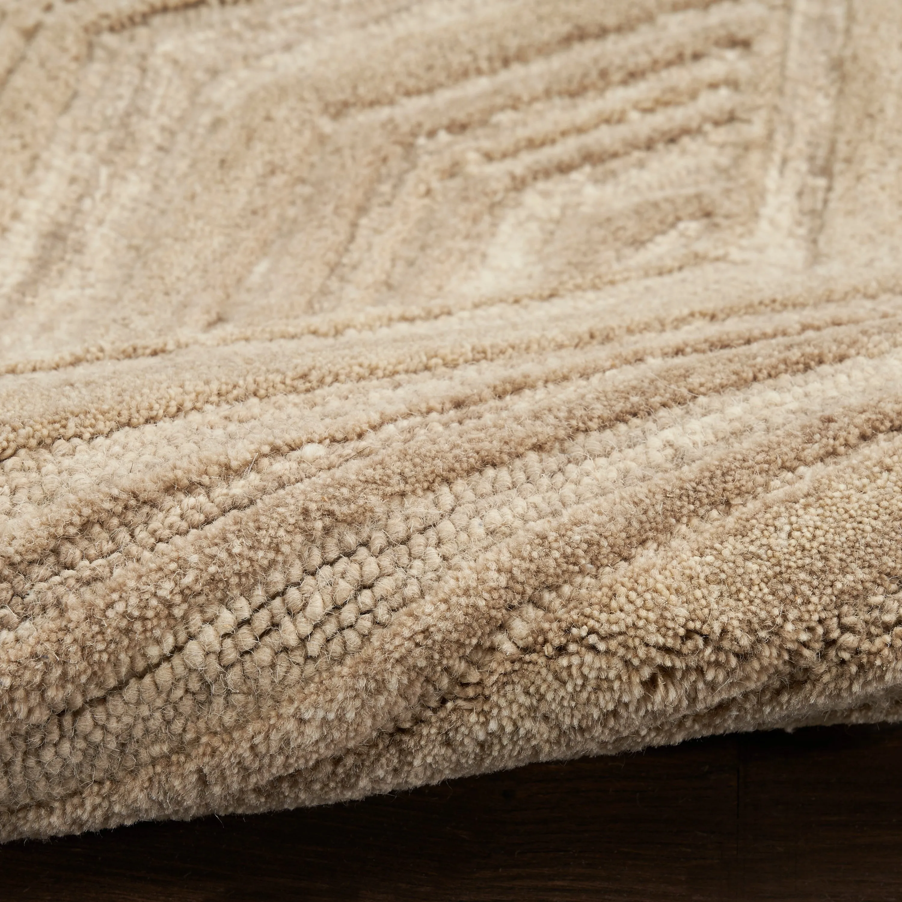 Nourison Graceful Indoor only Geometric Wool Area Rug