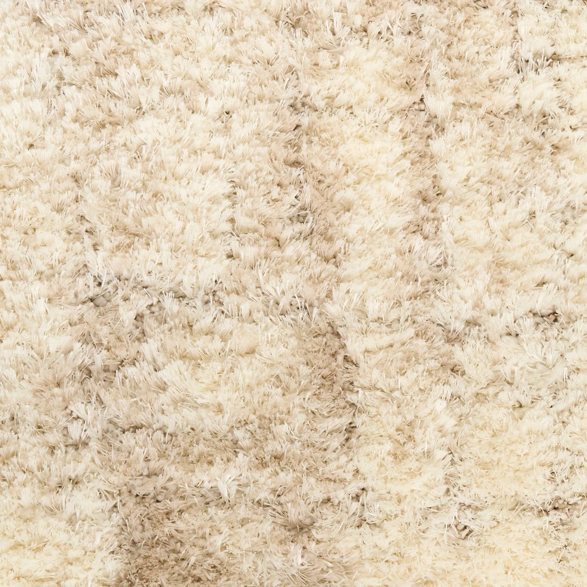 Nourison Luxurious Shag High Pile Contemporary Abstract Area Rug