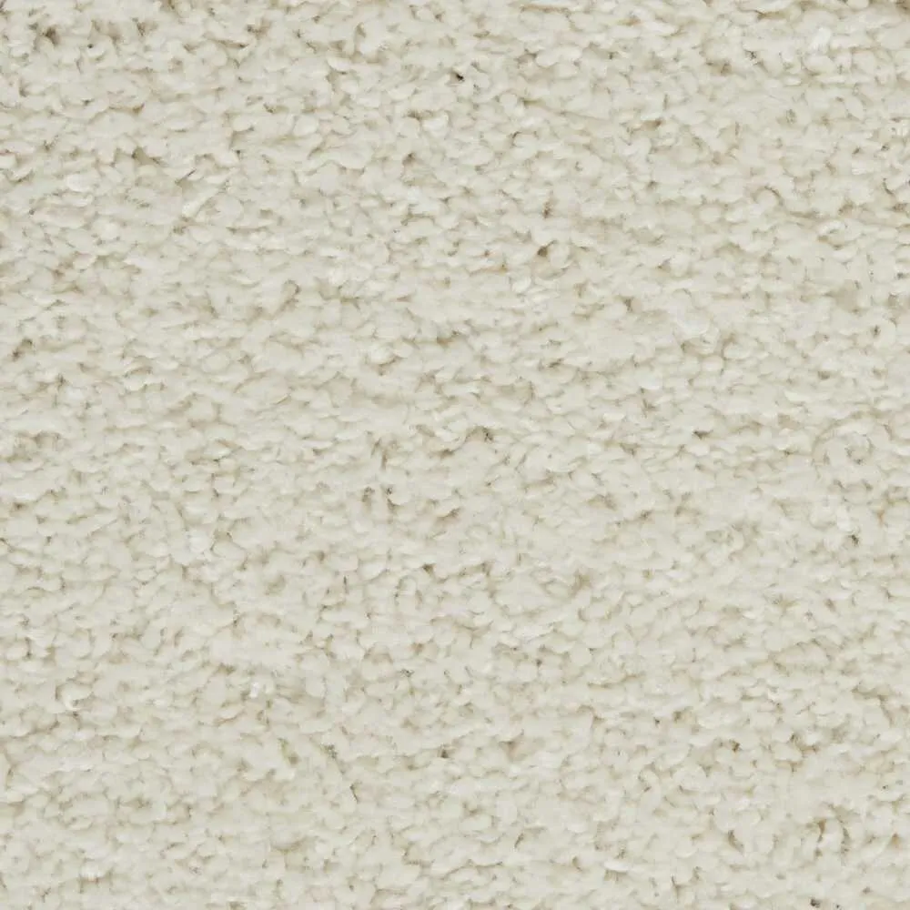Nourison Shangri-La Solid Modern Plush Shag Area Rug