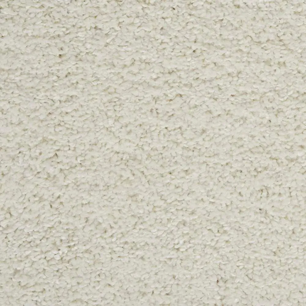 Nourison Shangri-La Solid Modern Plush Shag Area Rug