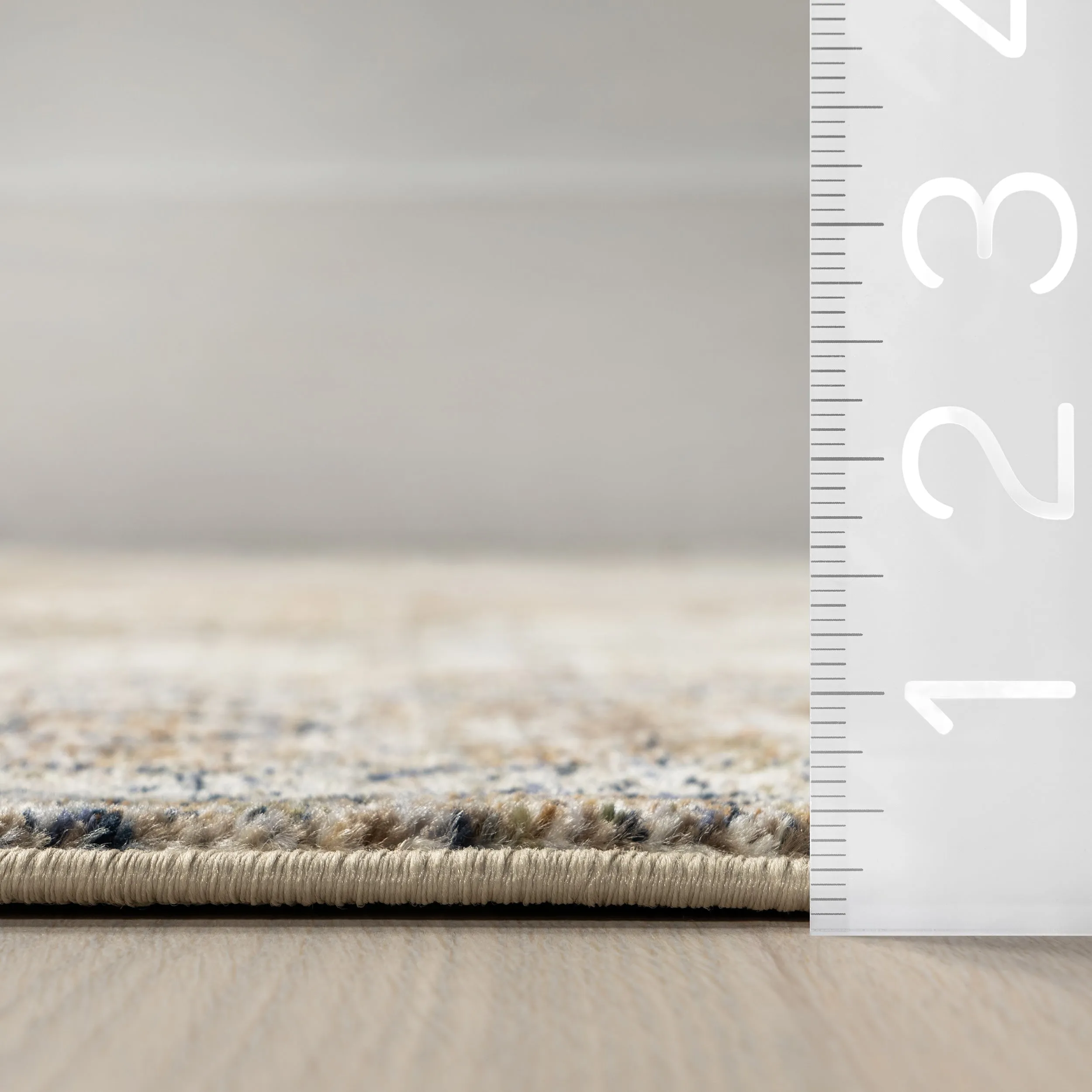 Nuloom Charvi Distressed Medallion Fringe Area Rug