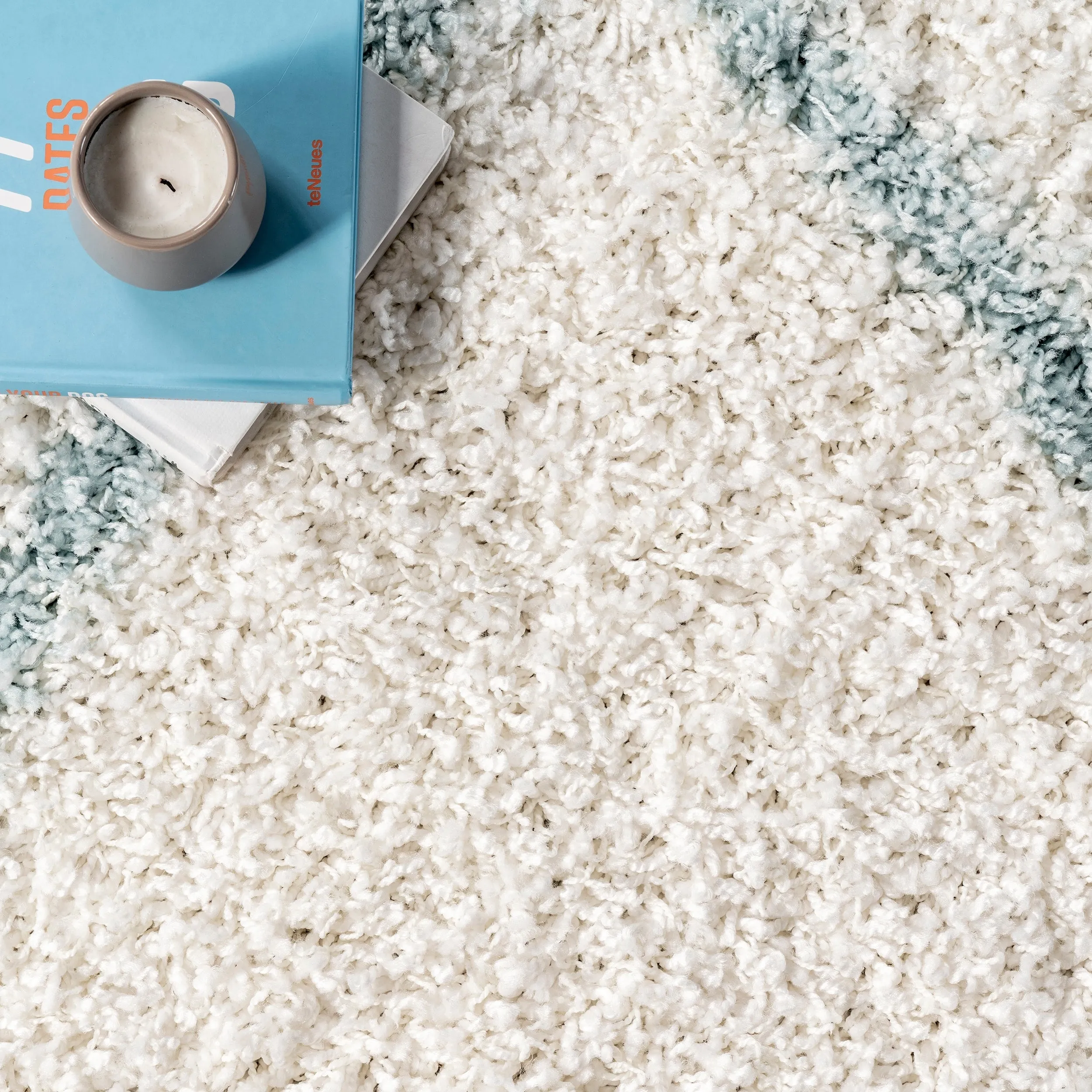 Nuloom Kesha Contemporary Trellis Shag Area Rug
