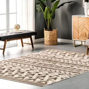 Nuloom Rebecca High Low Textured Shaggy Area Rug