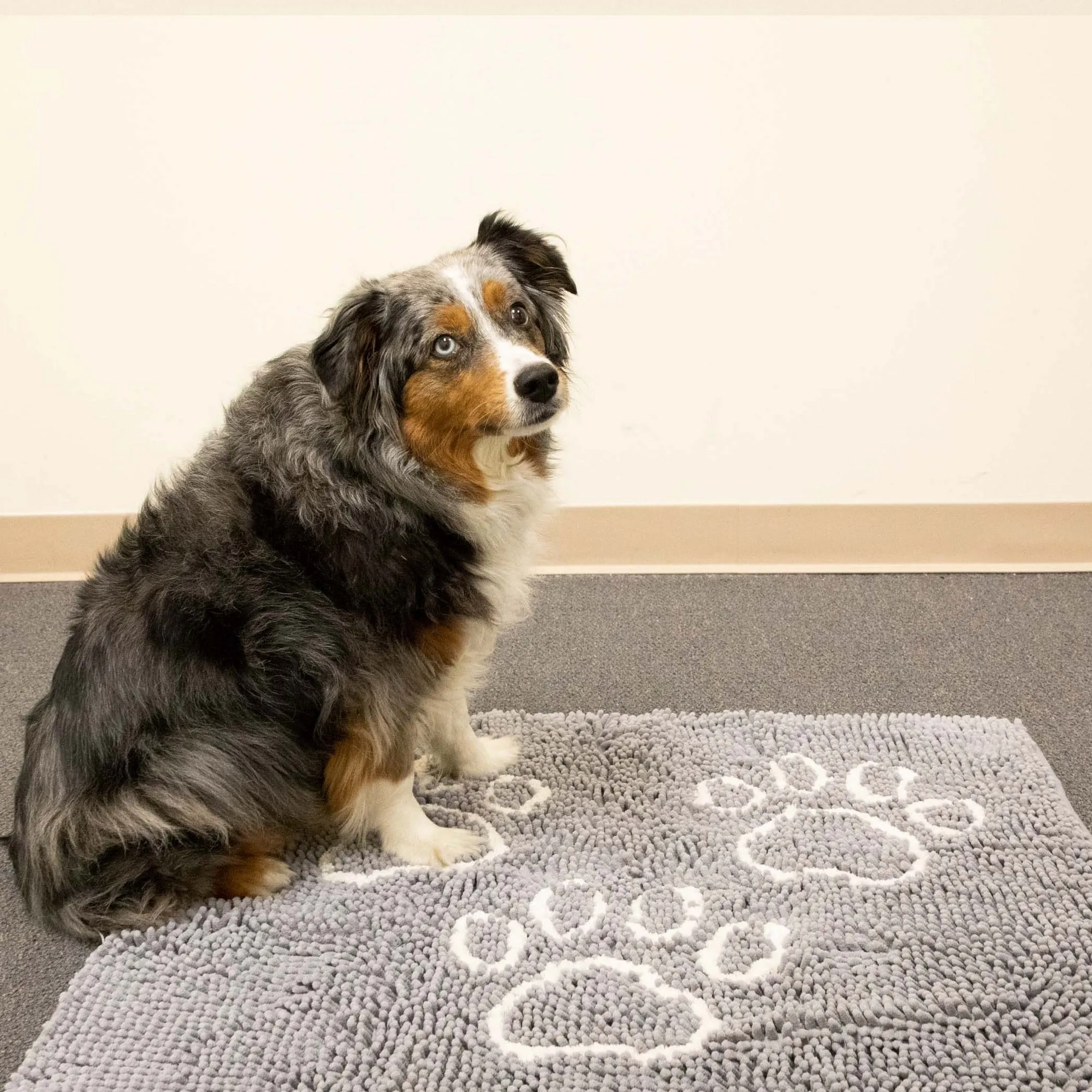 Perro & Gato Soft Chenille Pet Mat
