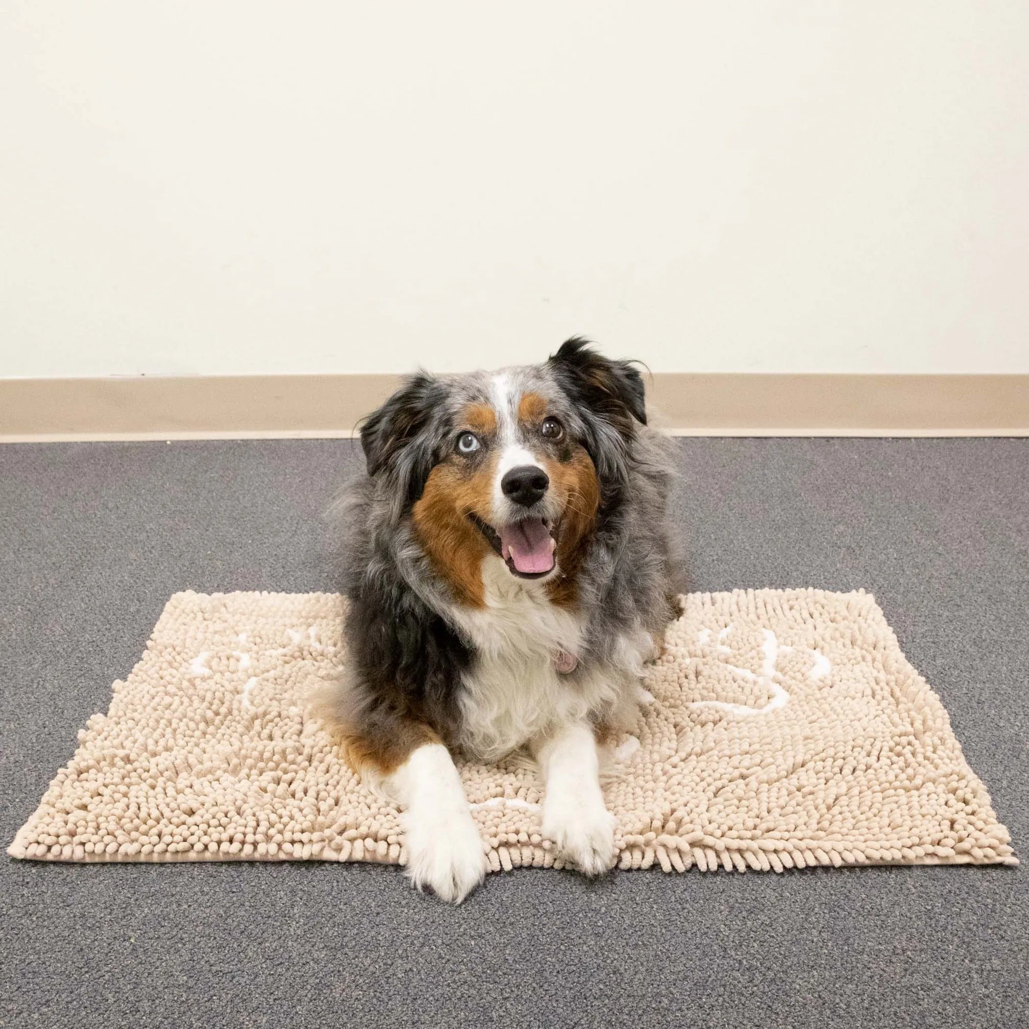 Perro & Gato Soft Chenille Pet Mat