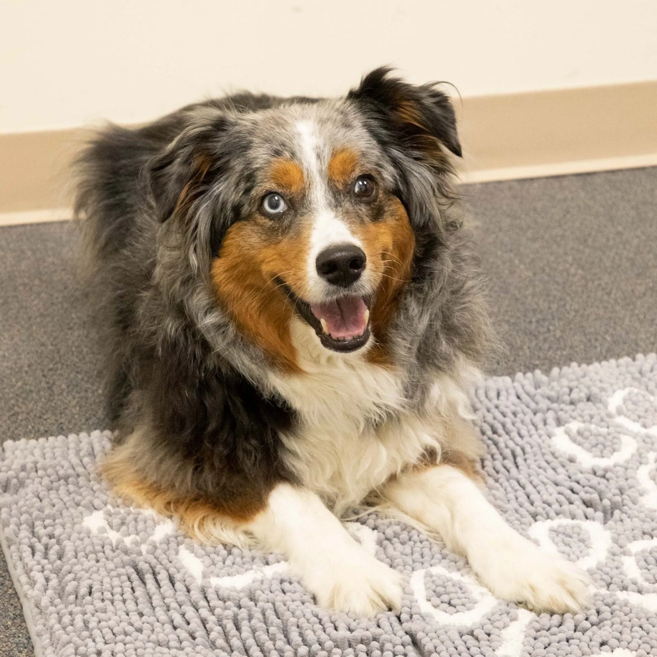 Perro & Gato Soft Chenille Pet Mat