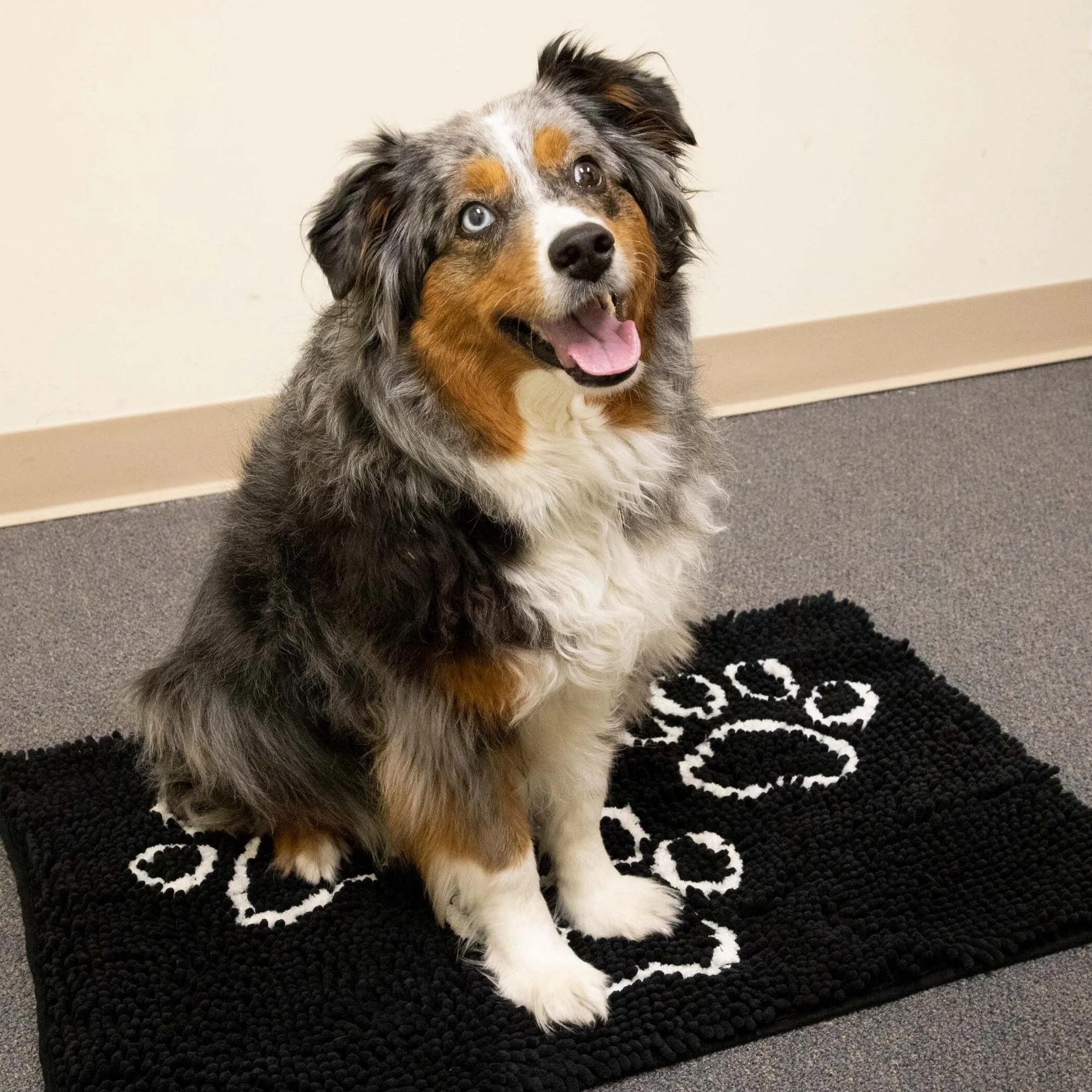 Perro & Gato Soft Chenille Pet Mat