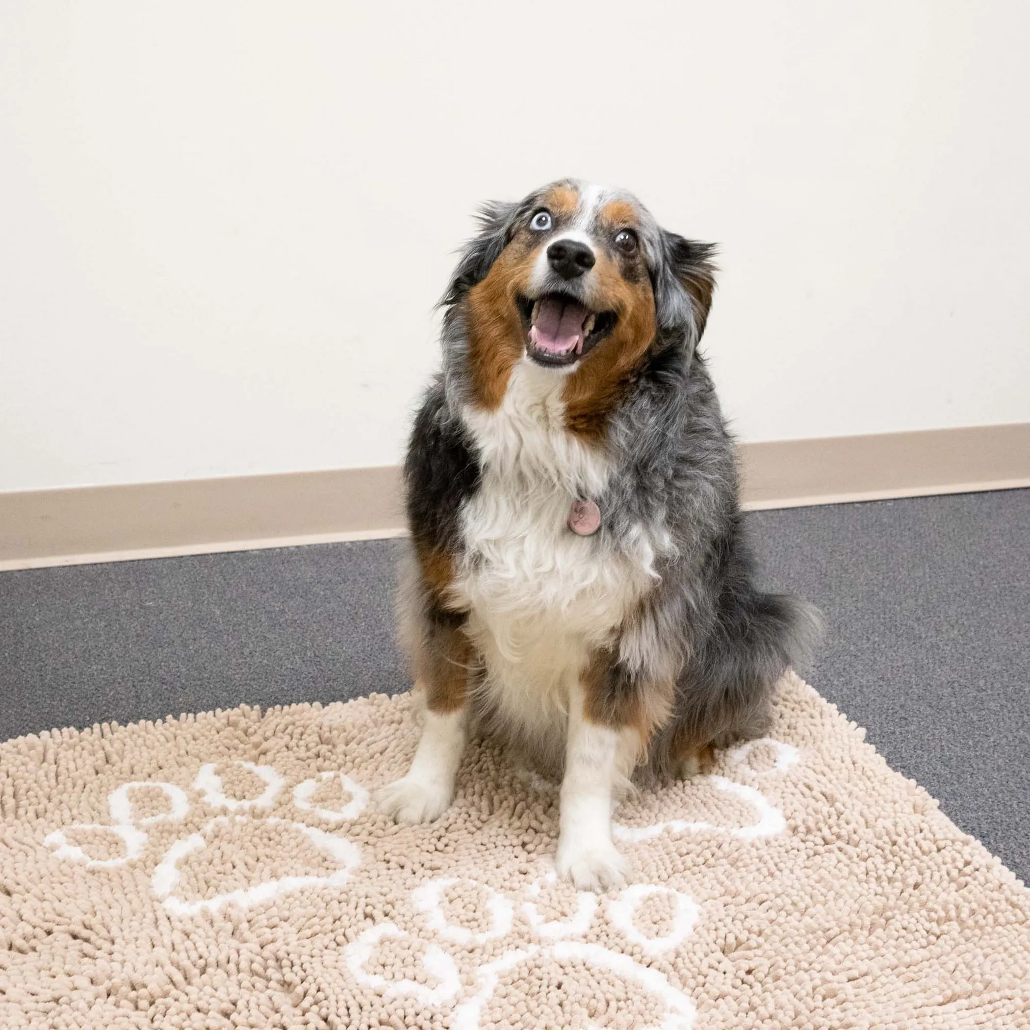 Perro & Gato Soft Chenille Pet Mat