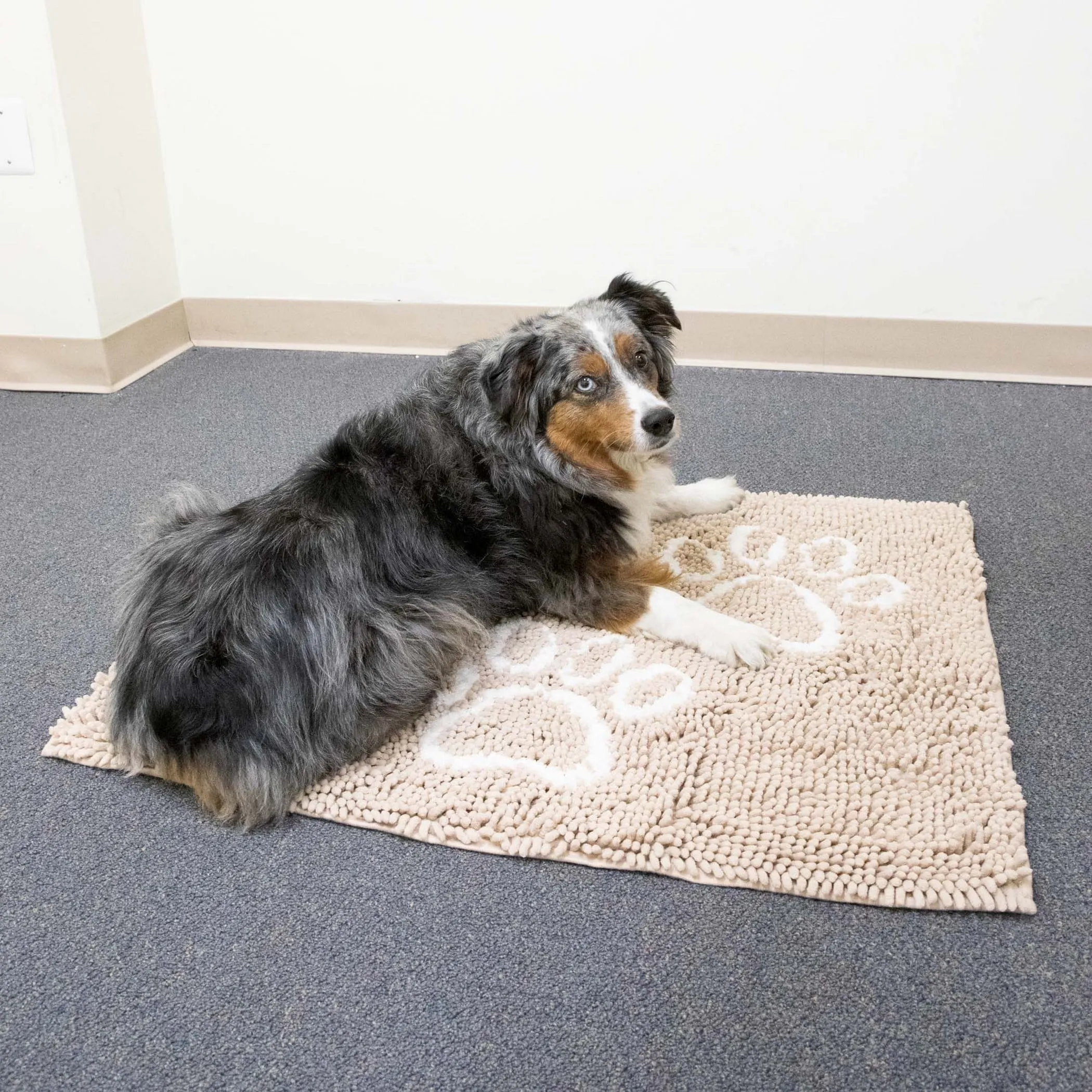 Perro & Gato Soft Chenille Pet Mat