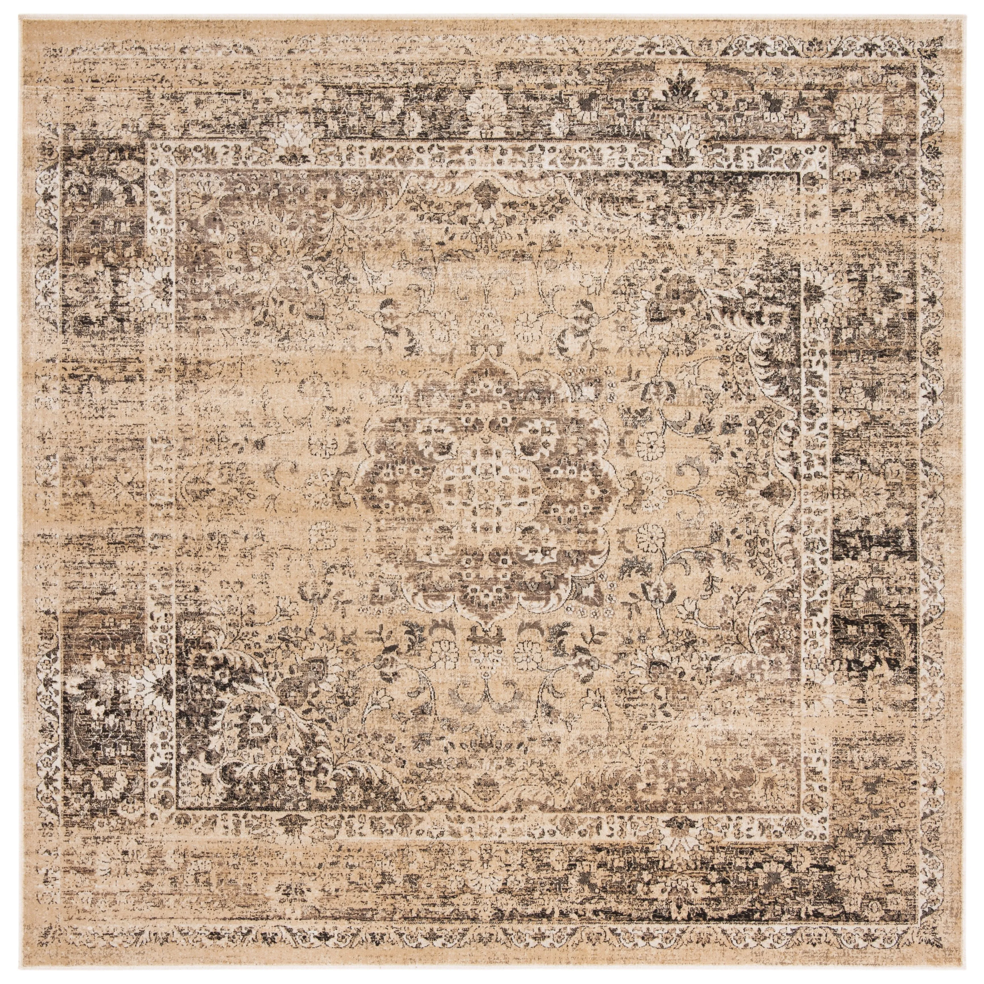 SAFAVIEH Agda Charlott Distressed Oriental Area Rug