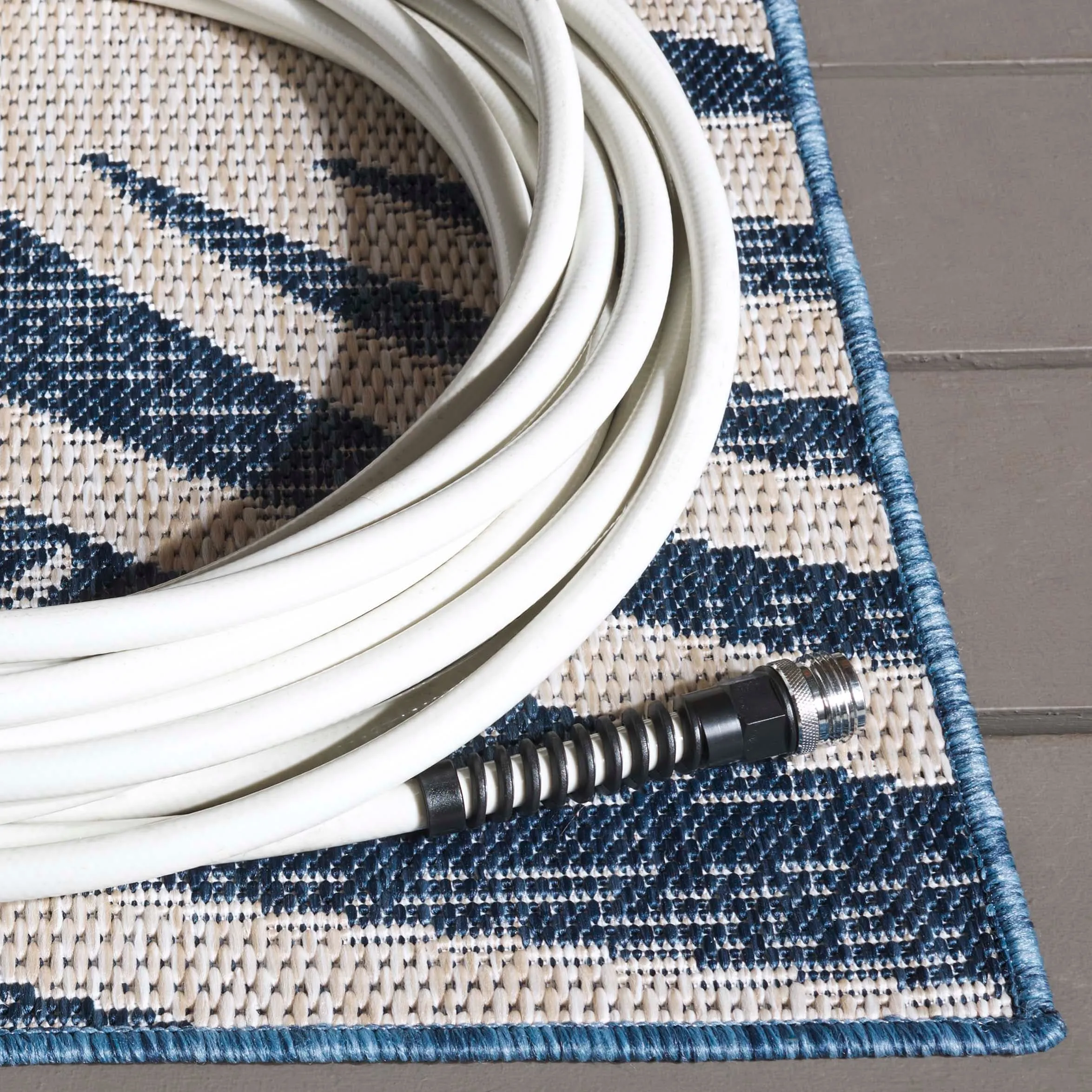 SAFAVIEH Beach House Nassrin Transitional Rug