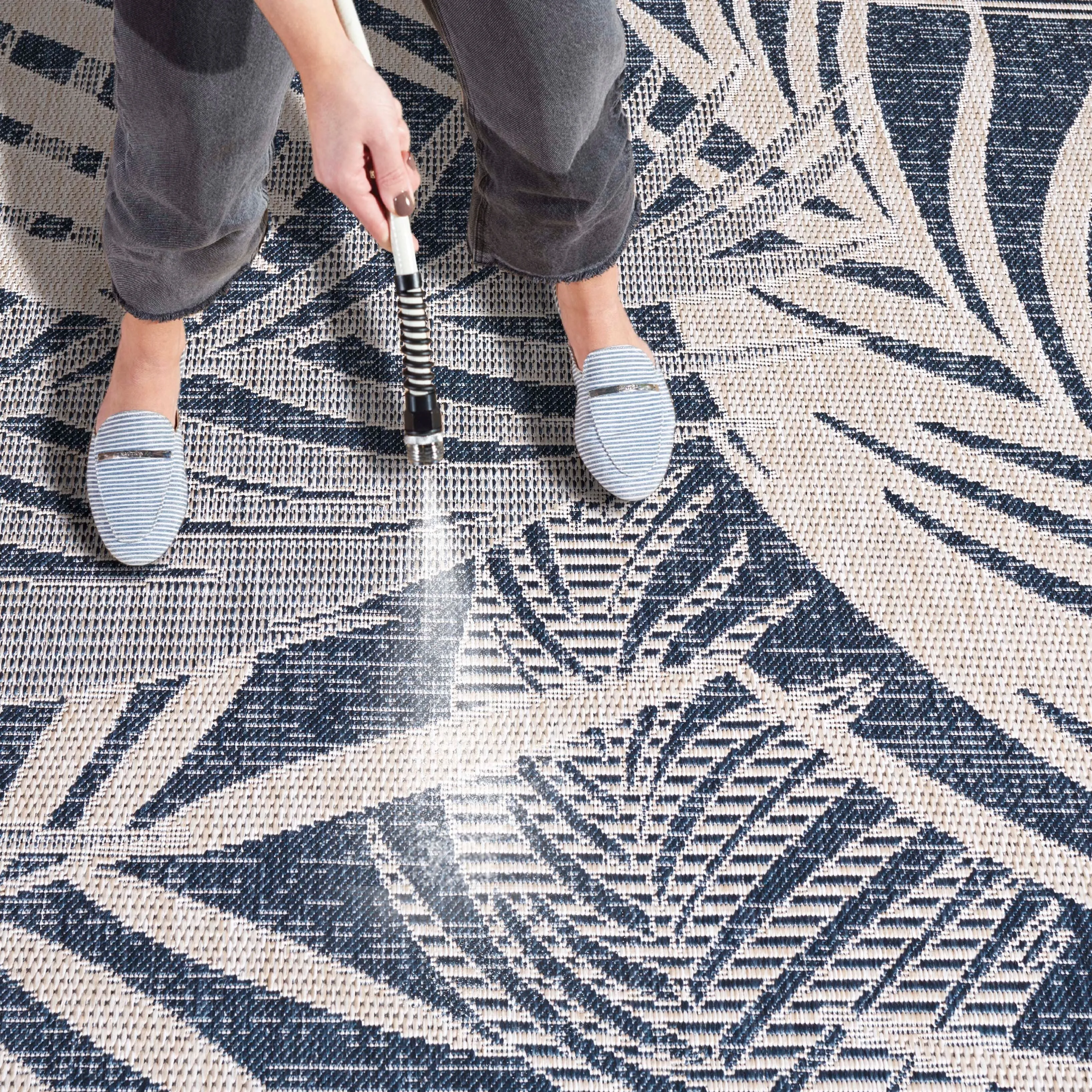 SAFAVIEH Beach House Nassrin Transitional Rug