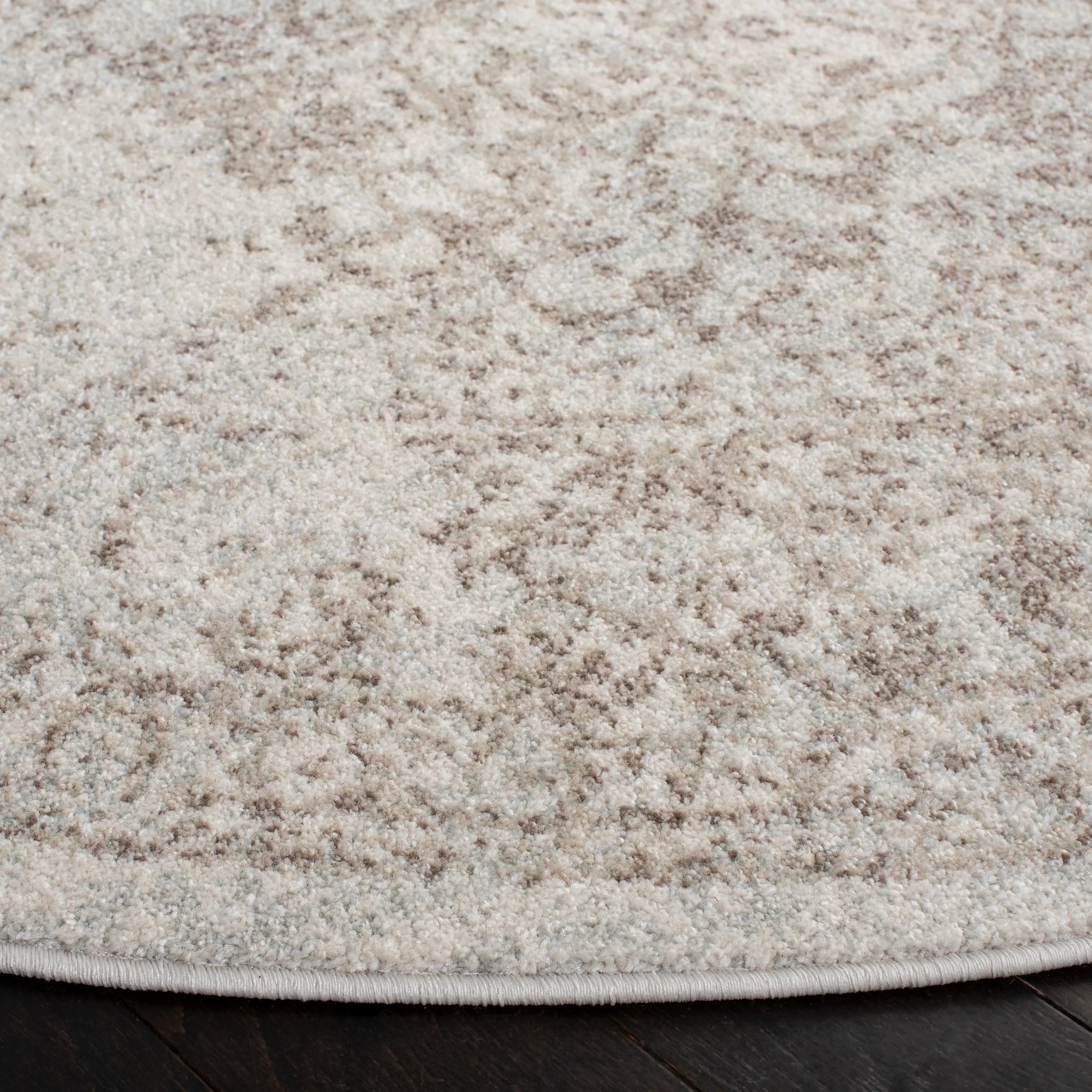 SAFAVIEH Evoke Pety Vintage Distressed Rug