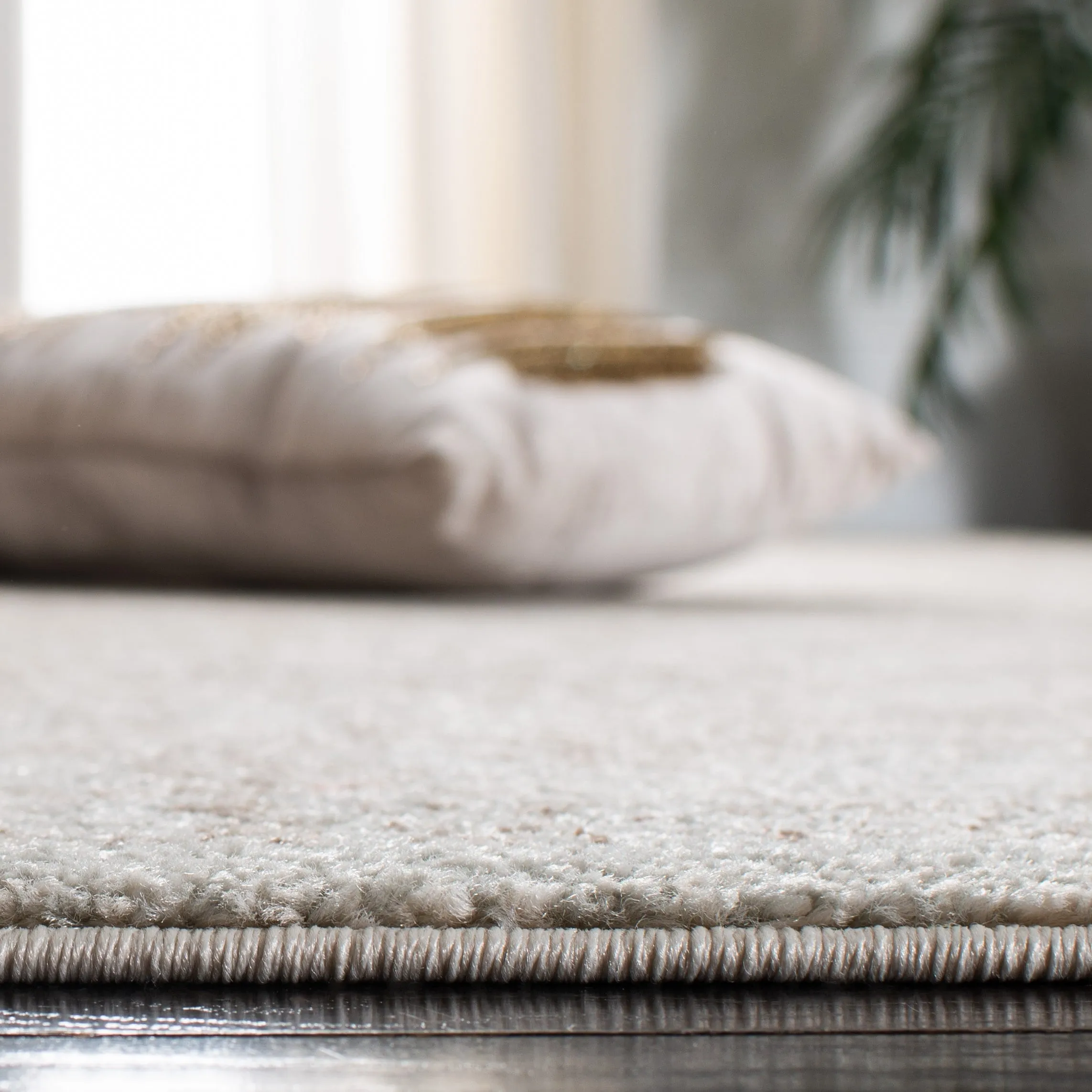 SAFAVIEH Evoke Pety Vintage Distressed Rug