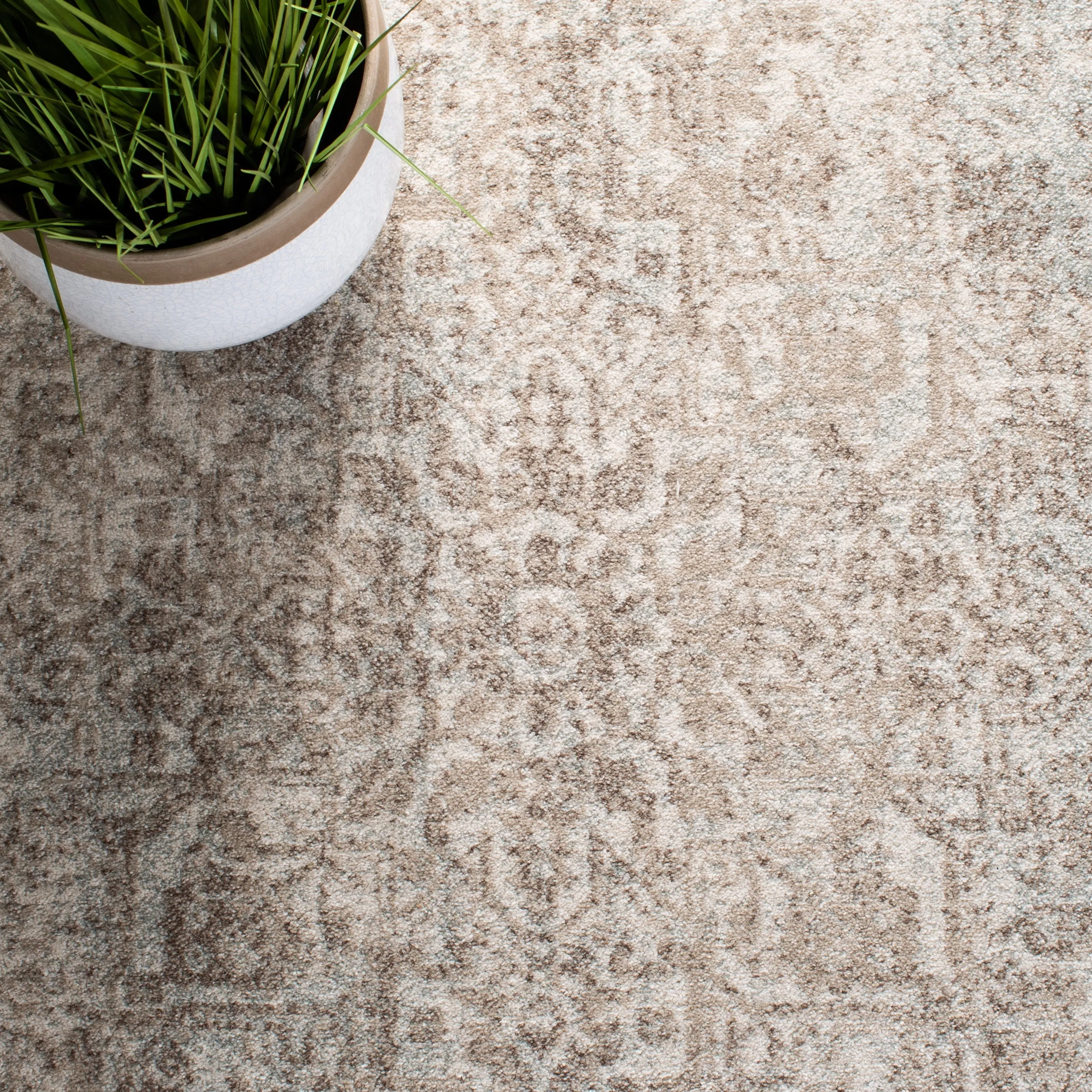 SAFAVIEH Evoke Pety Vintage Distressed Rug