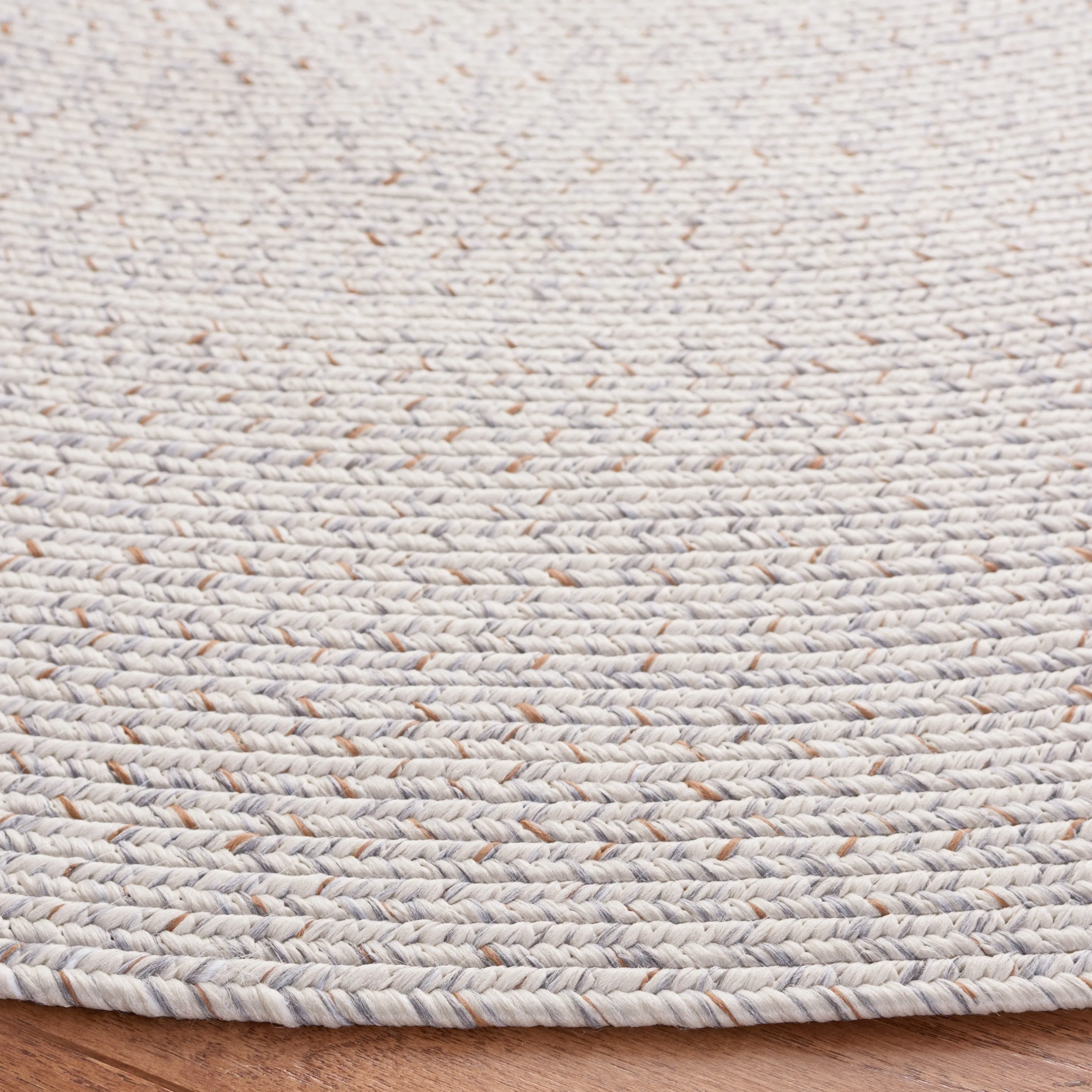 SAFAVIEH Handmade Braided Anthi Casual Rug