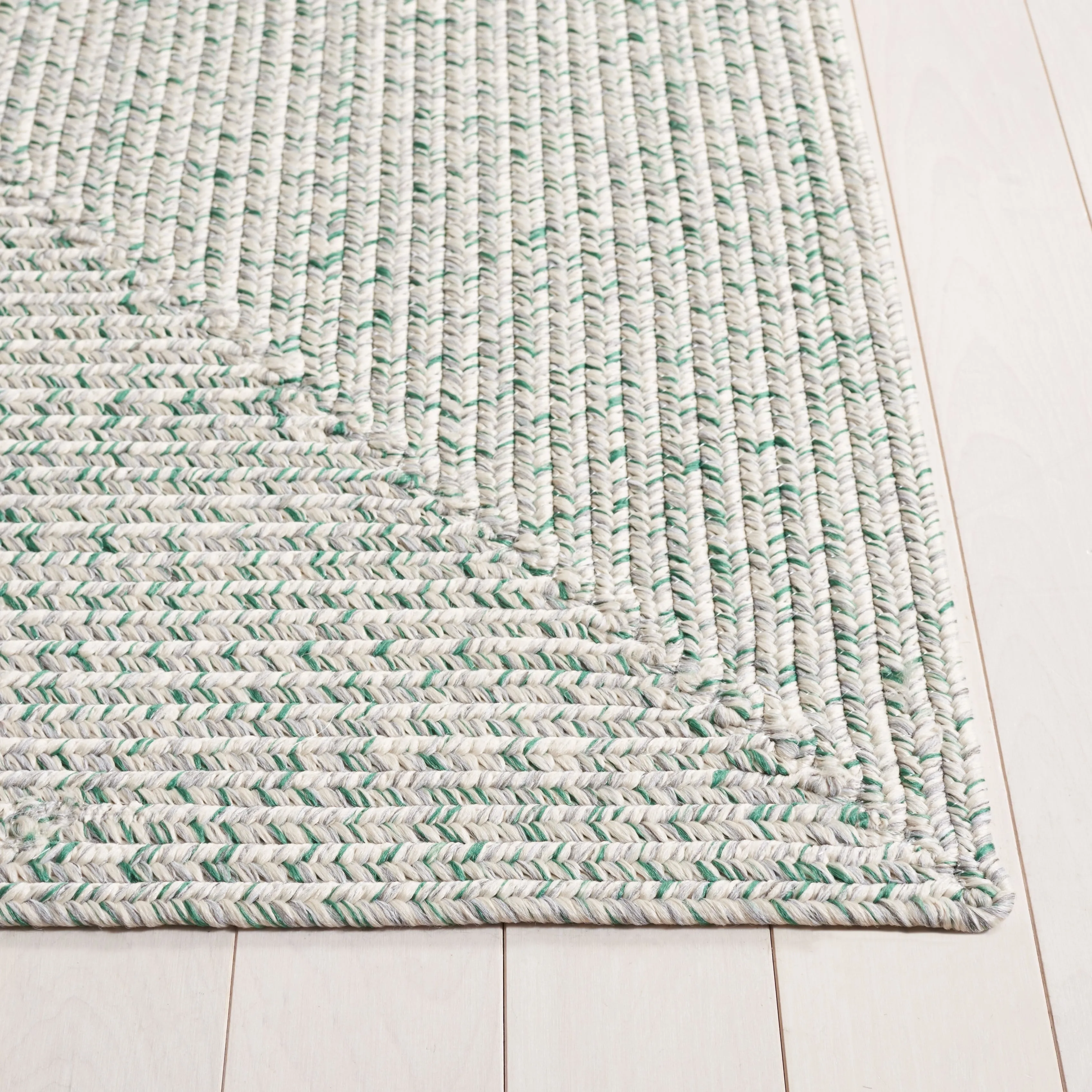SAFAVIEH Handmade Braided Anthi Casual Rug