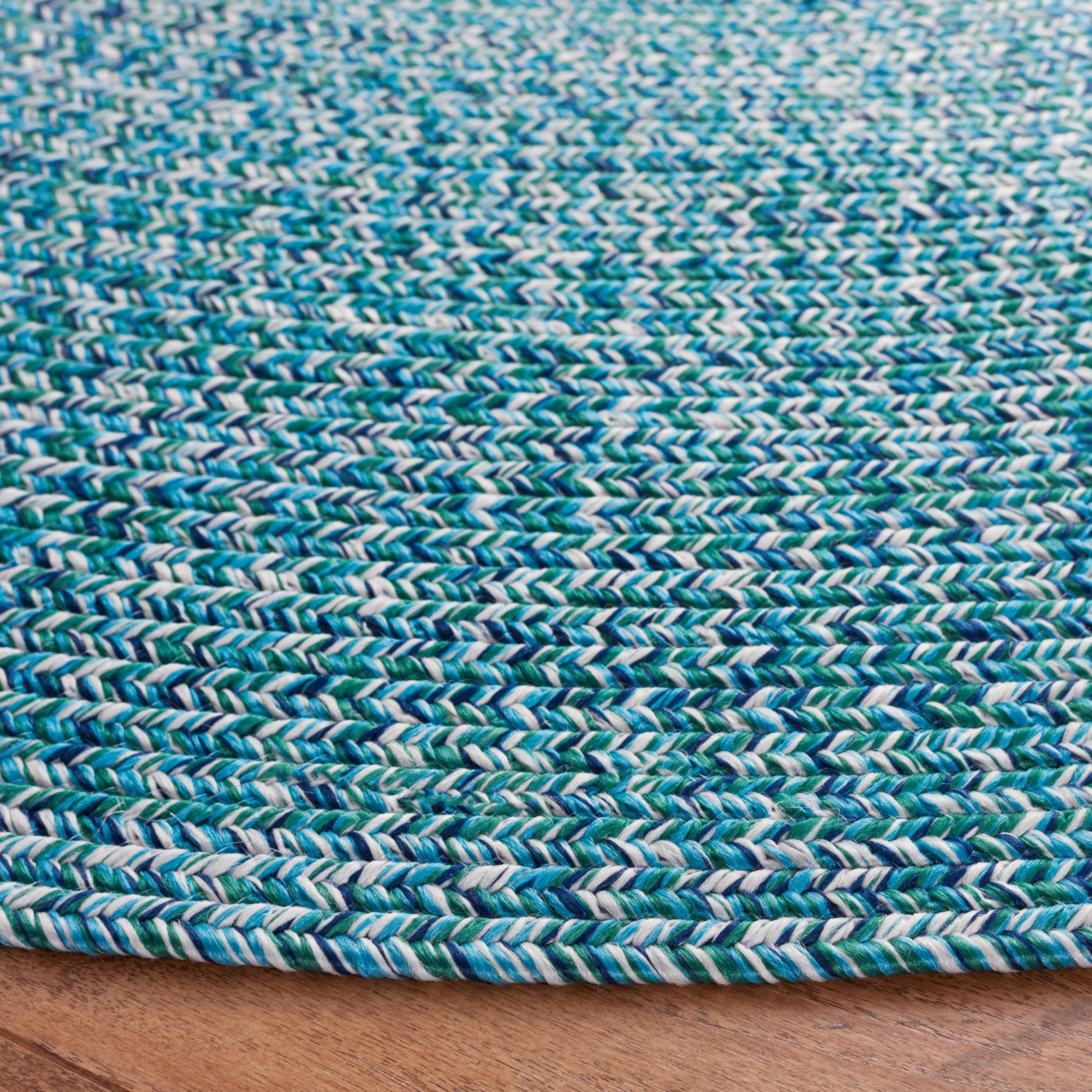 SAFAVIEH Handmade Braided Anthi Casual Rug
