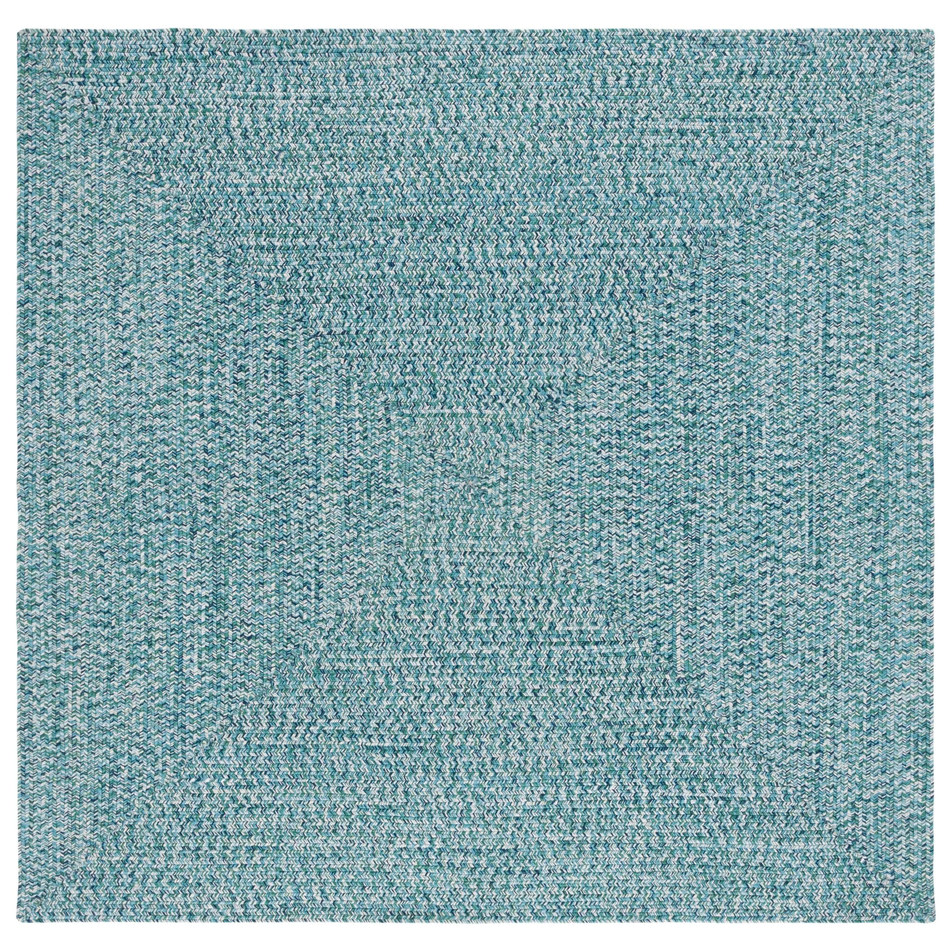 SAFAVIEH Handmade Braided Anthi Casual Rug