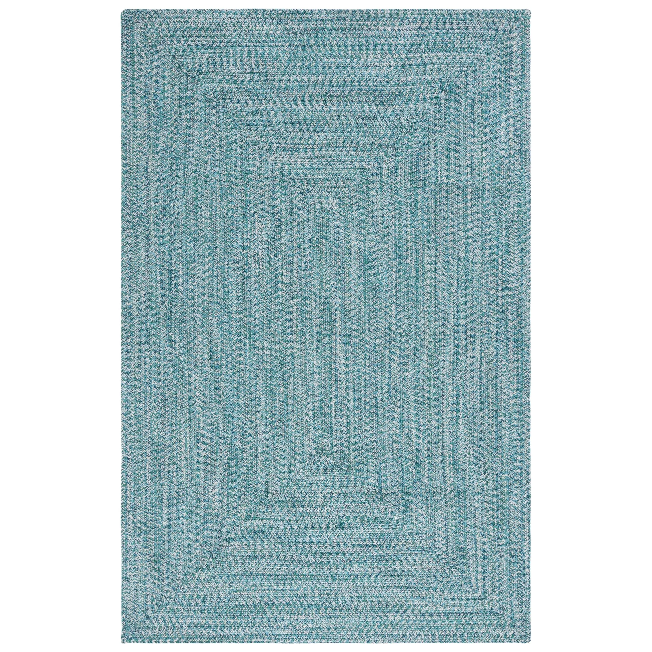 SAFAVIEH Handmade Braided Anthi Casual Rug