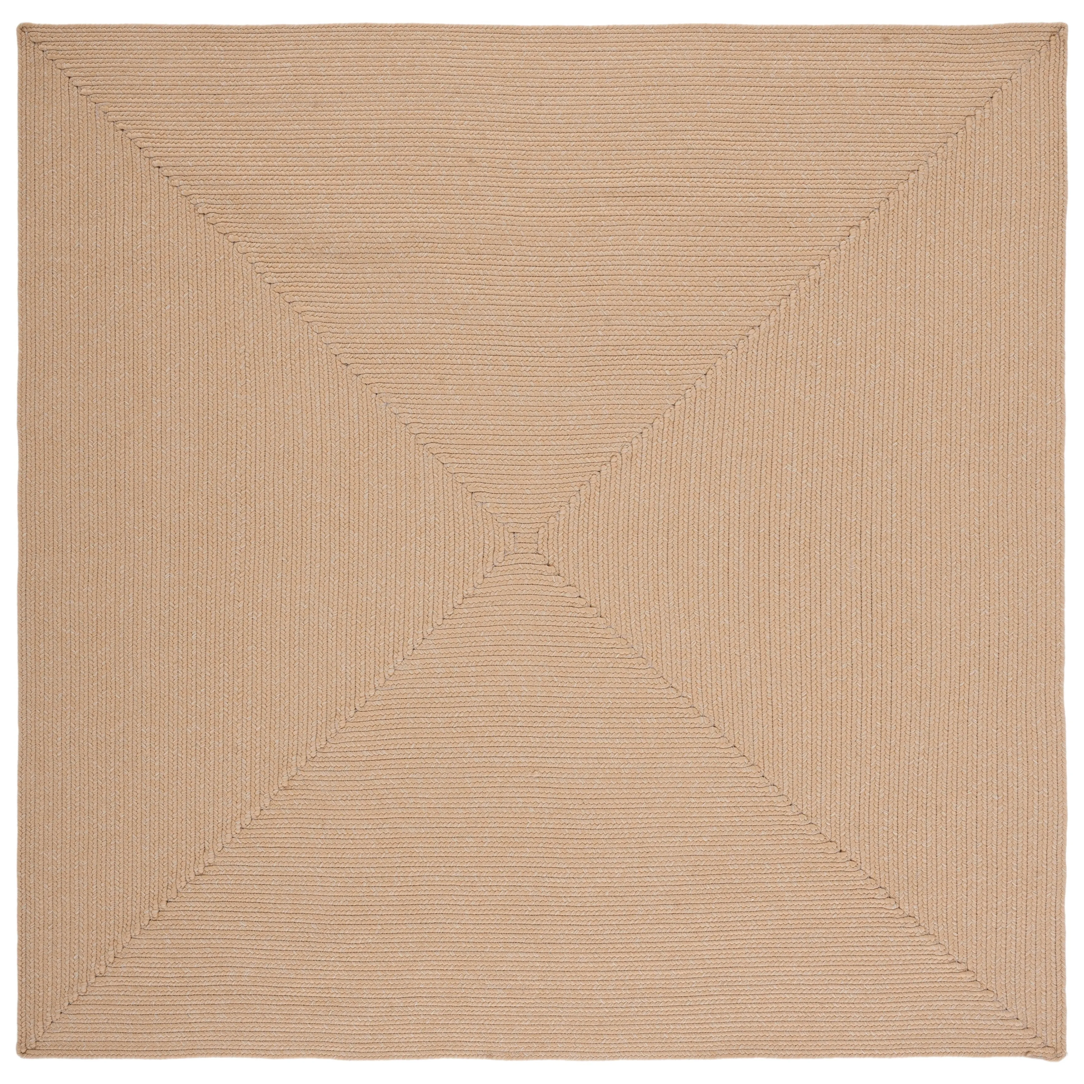 SAFAVIEH Handmade Braided Shabana Casual Lavada Rug