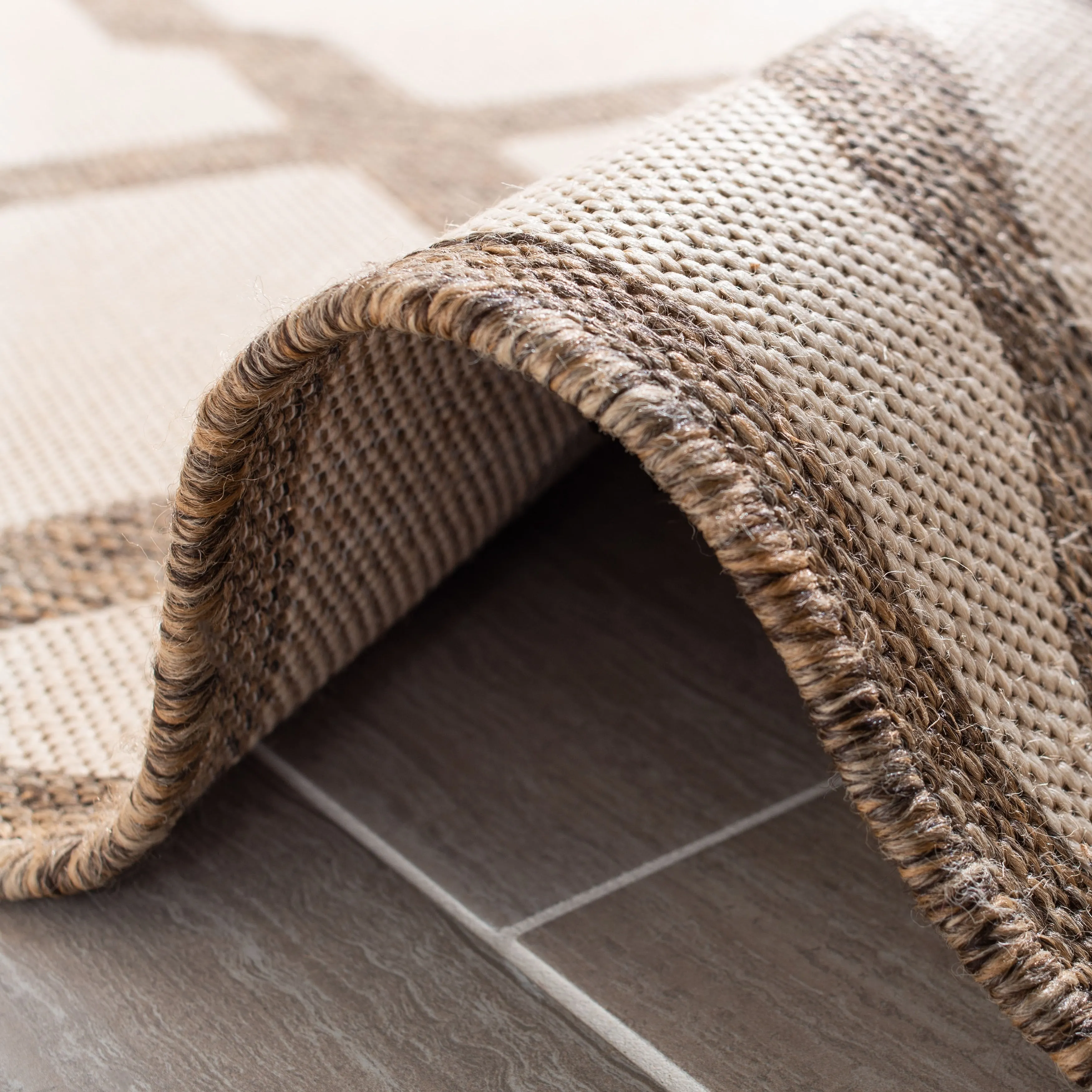 SAFAVIEH Linden Shirleyann Trellis Indoor/ Outdoor Patio Backyard Rug
