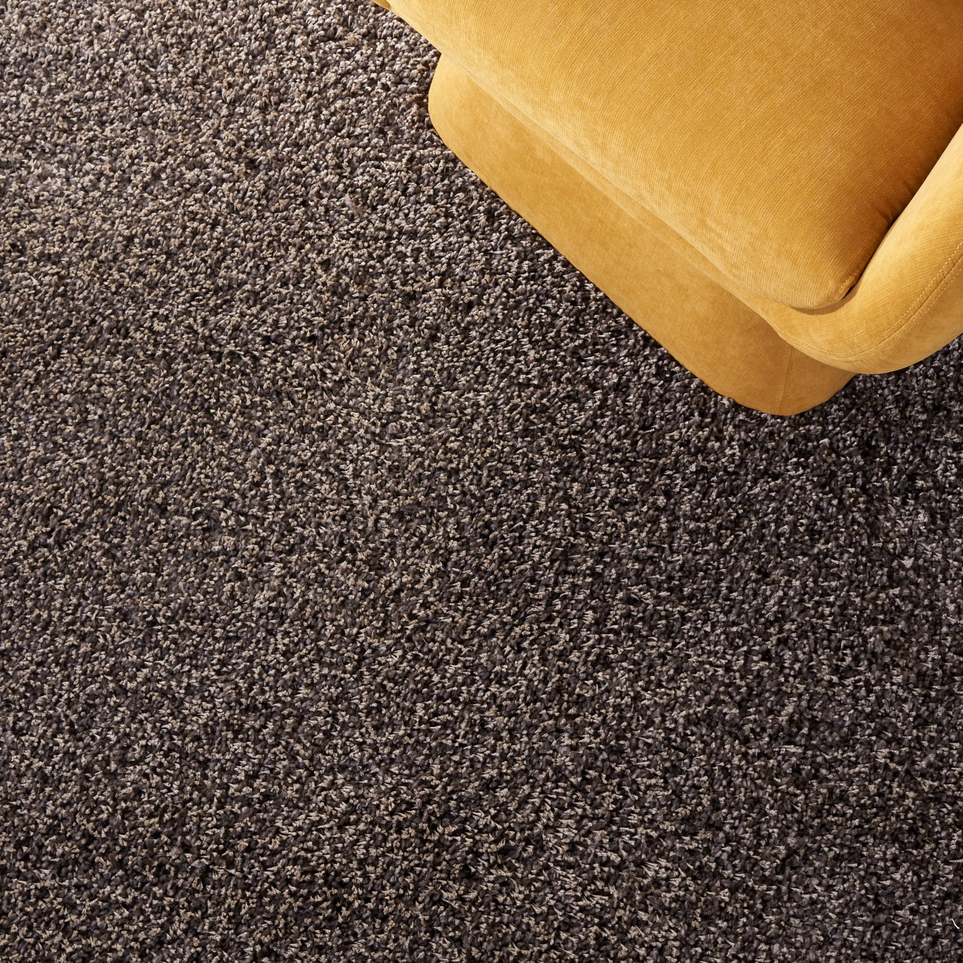 SAFAVIEH. Santa Monica Mahalia Shag 2-inch Thick Area Rug