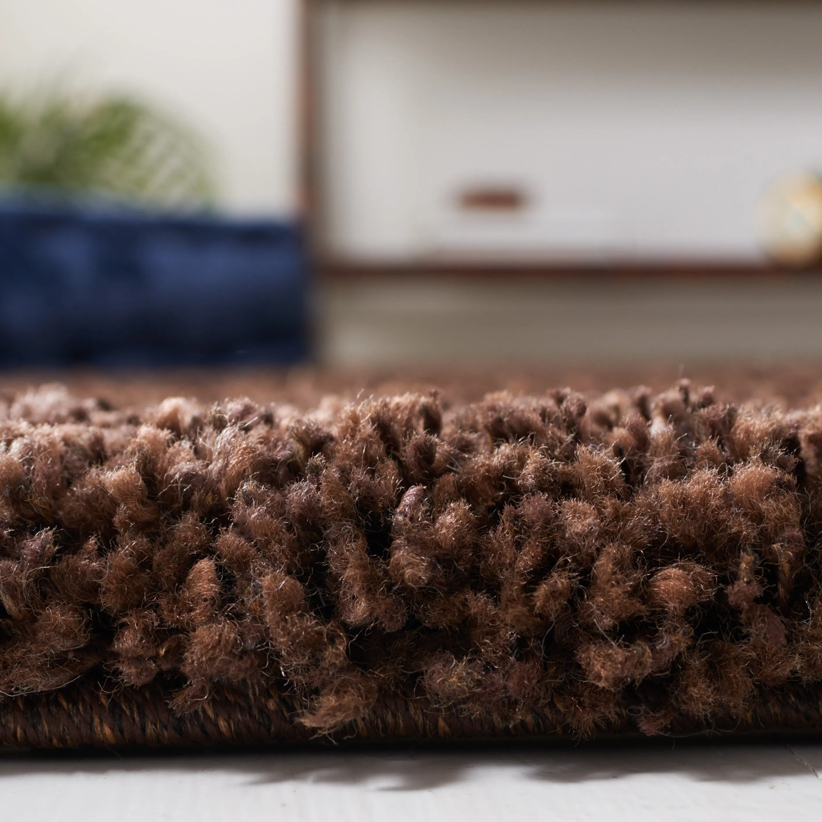 SAFAVIEH. Santa Monica Mahalia Shag 2-inch Thick Area Rug