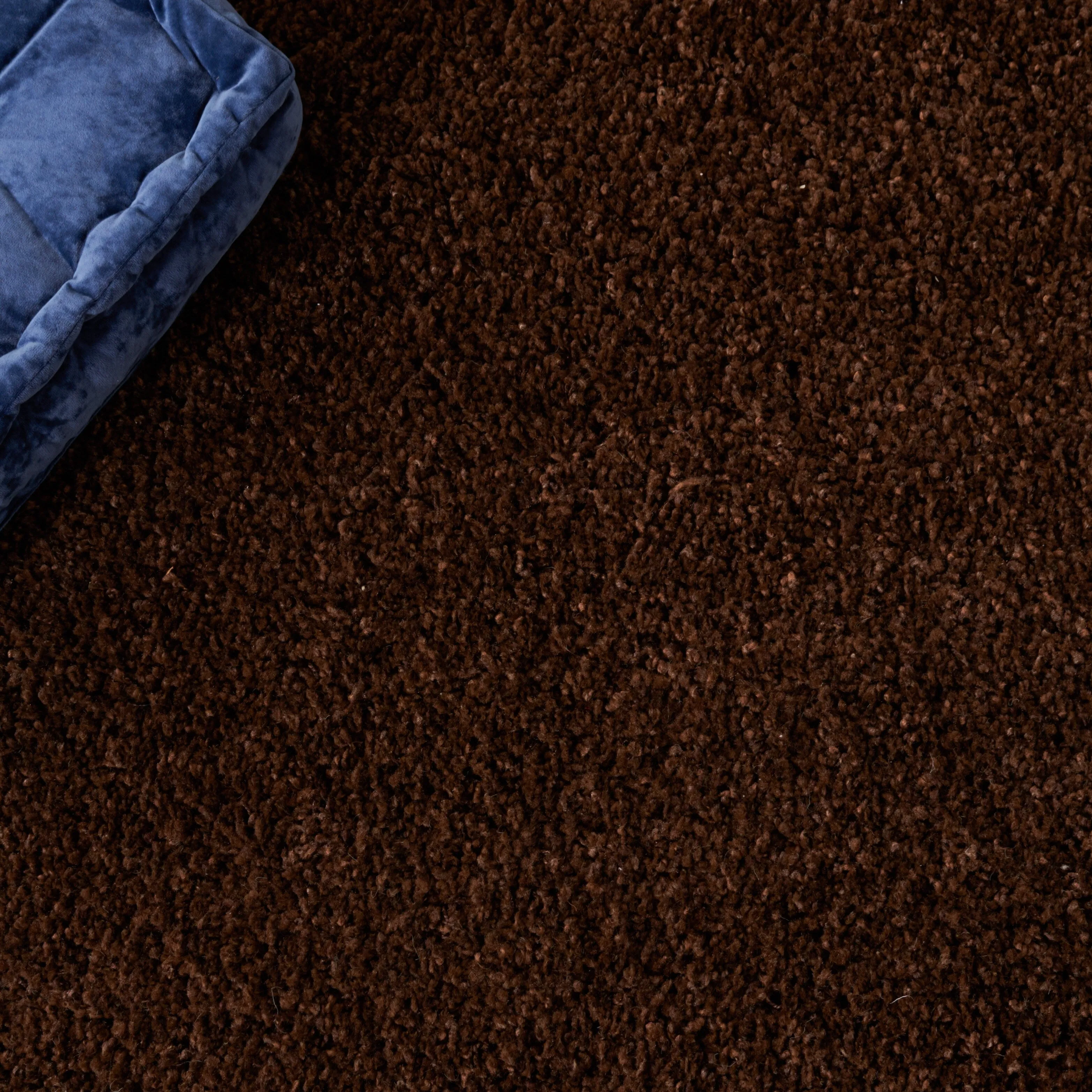 SAFAVIEH. Santa Monica Mahalia Shag 2-inch Thick Area Rug