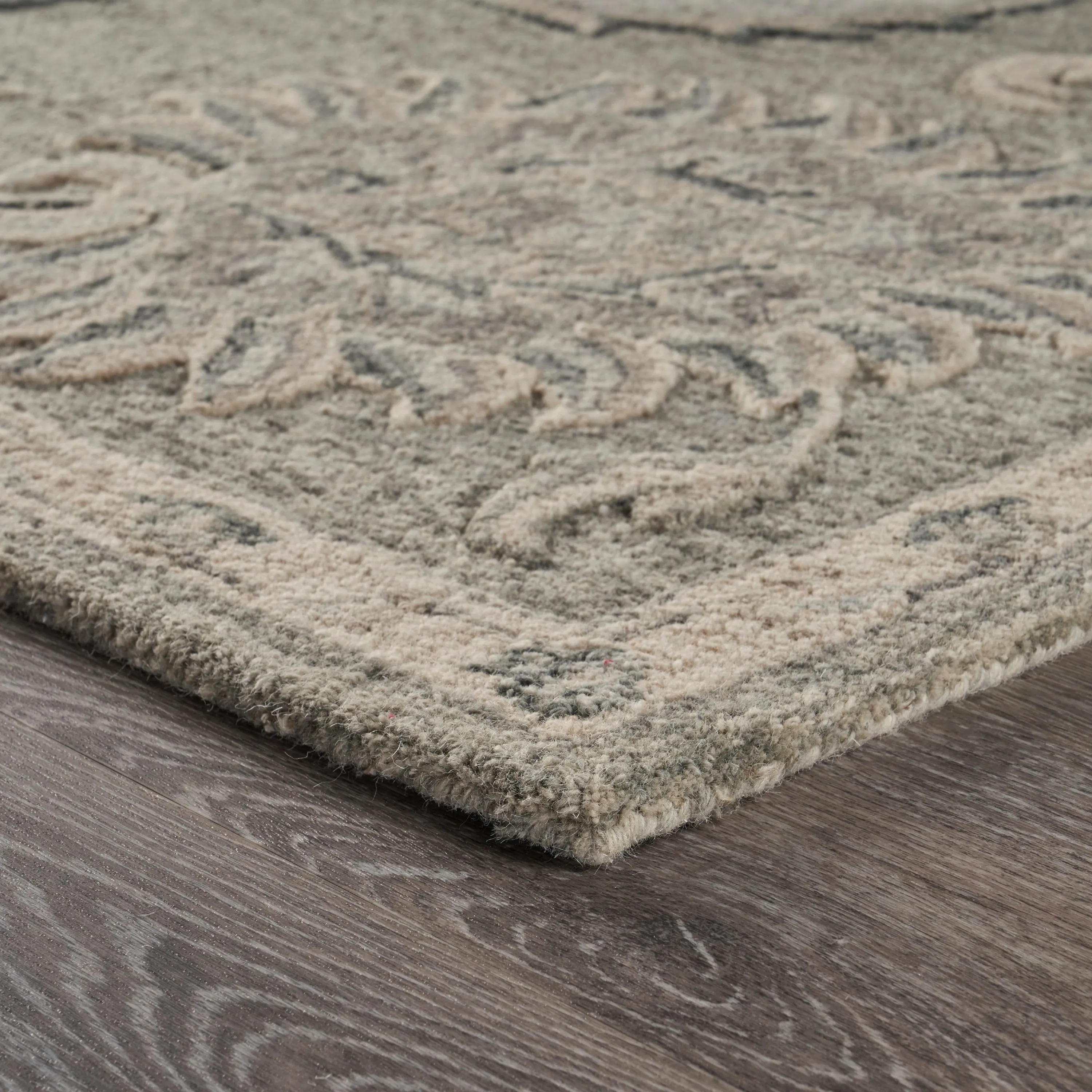 Sevita Traditional Botanical Area Rug