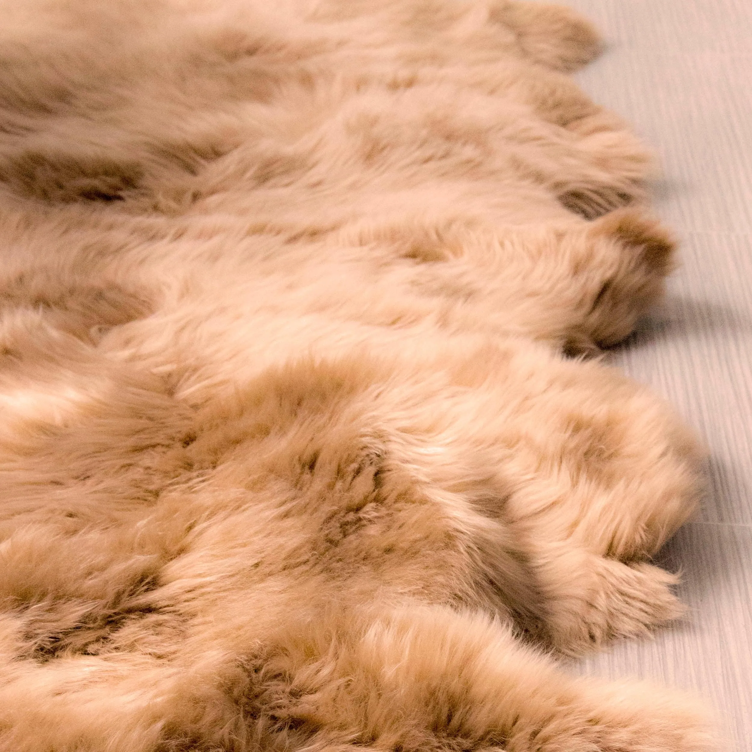 Silver Orchid Nansen Genuine Soft Australian Sheepskin Rug