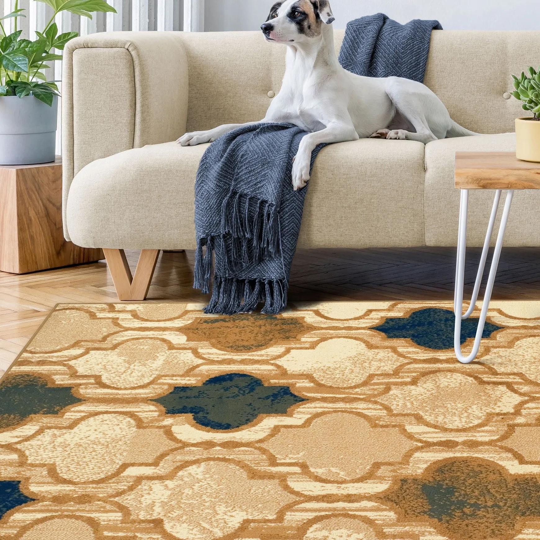 Superior Viking Modern Geometric Indoor Area Rug