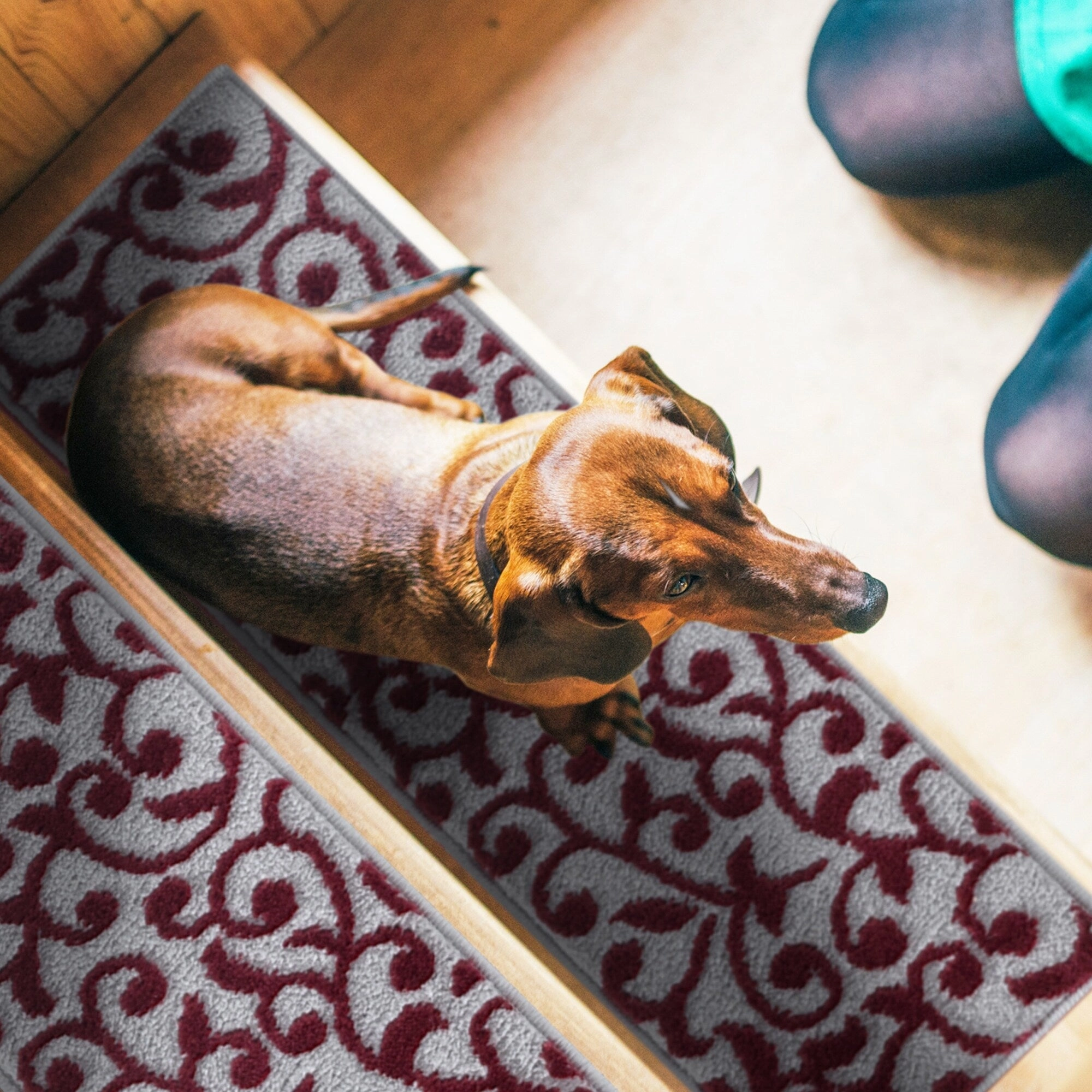 SussexHome Leaves Pattern Stair Treads