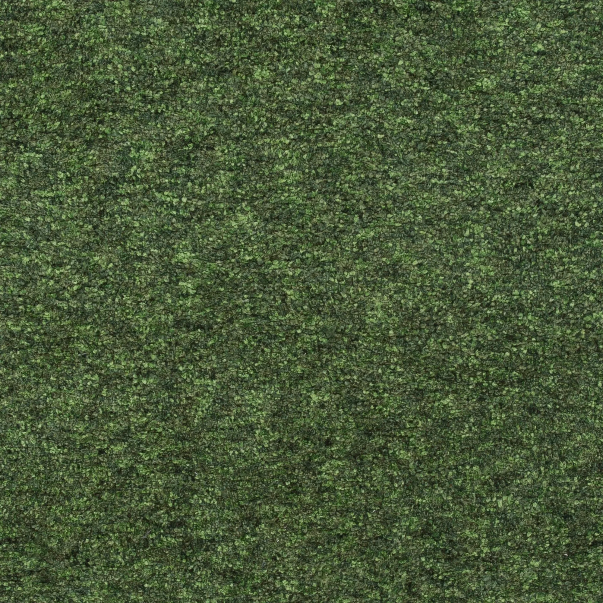 Table Tufted Madre Polyester Rug