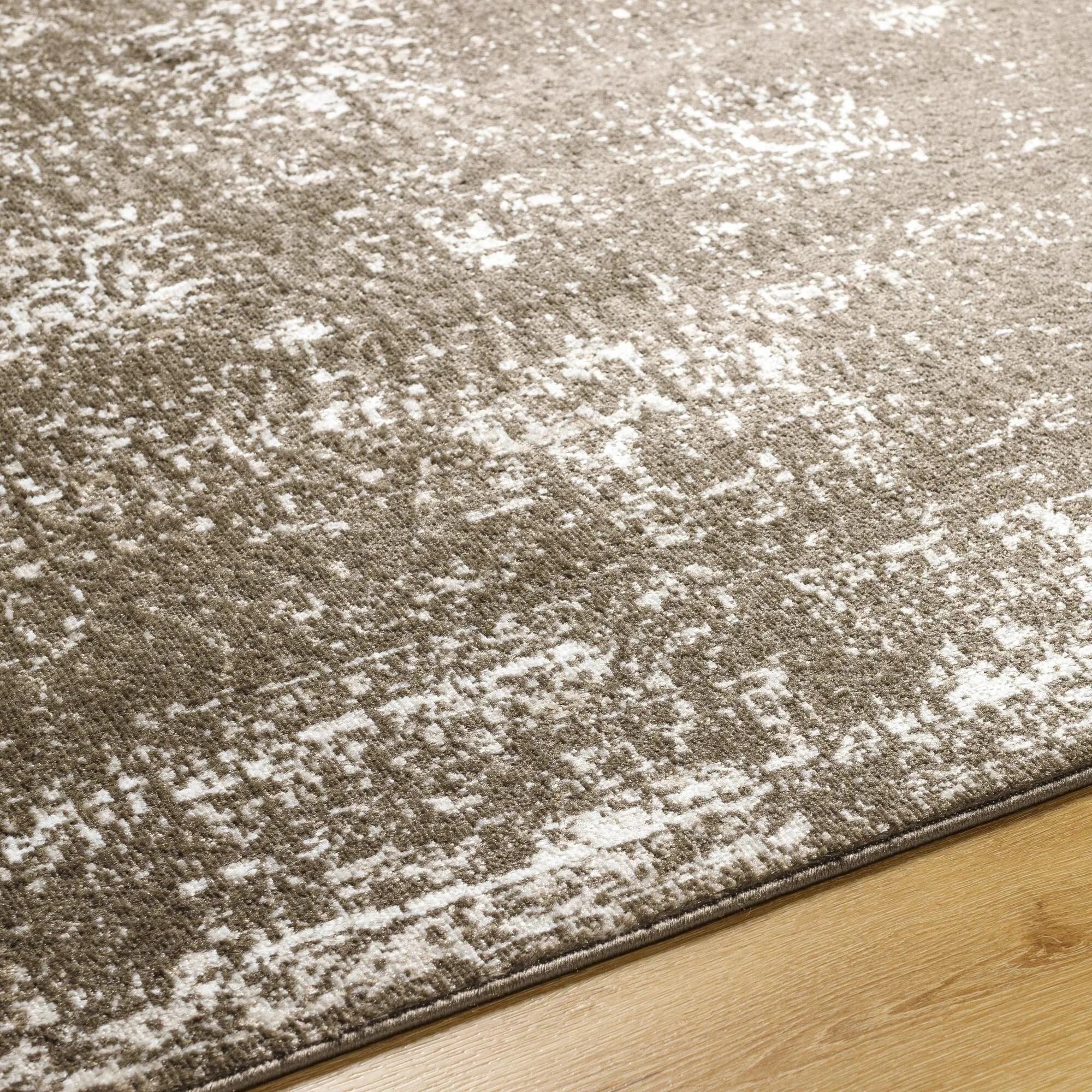 Valadez Vintage Area Rug